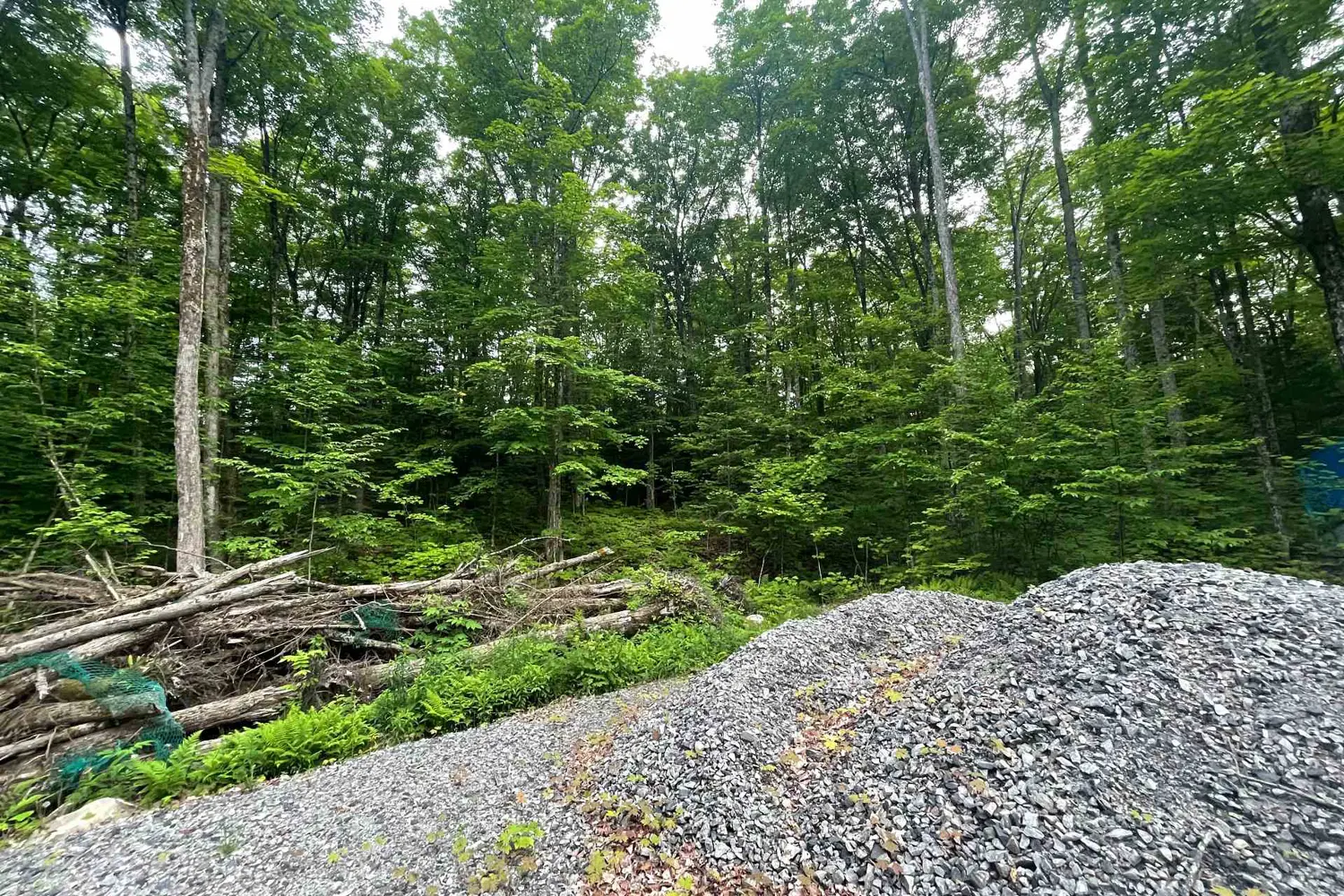 Additional image 13 of Lot 29 Bay Lake Road