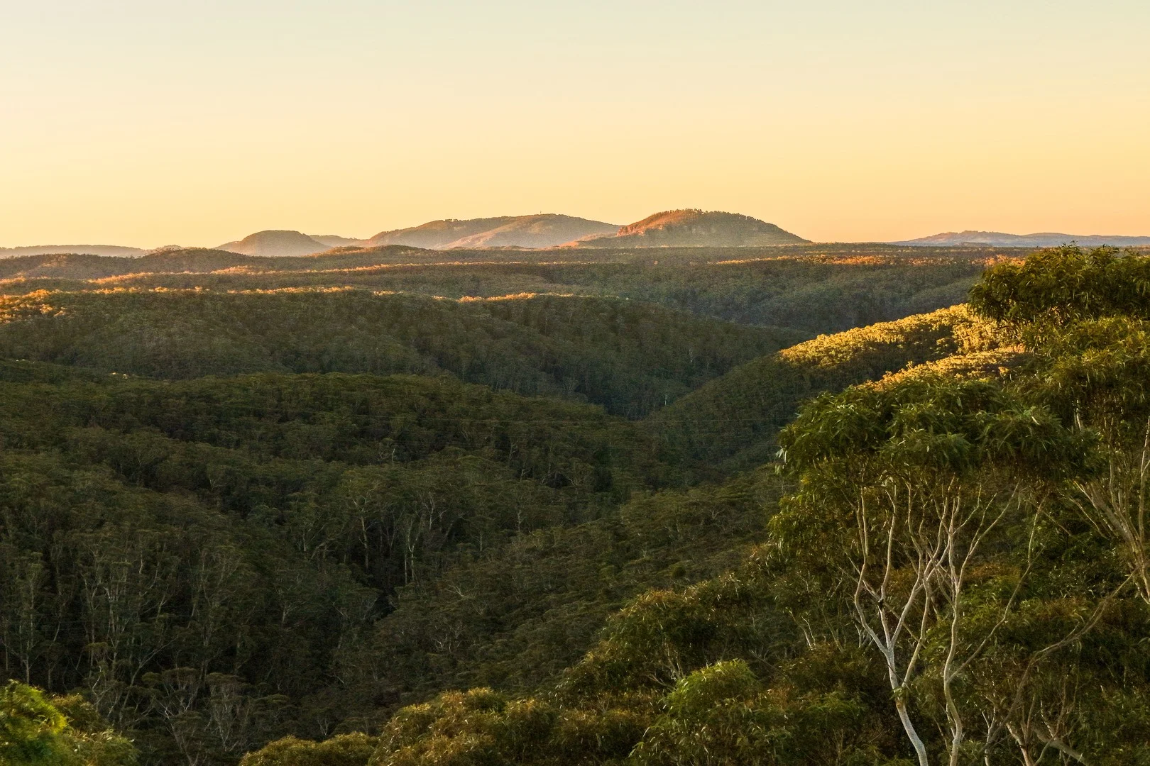 66-68 Henderson Road, Wentworth Falls NSW 2782