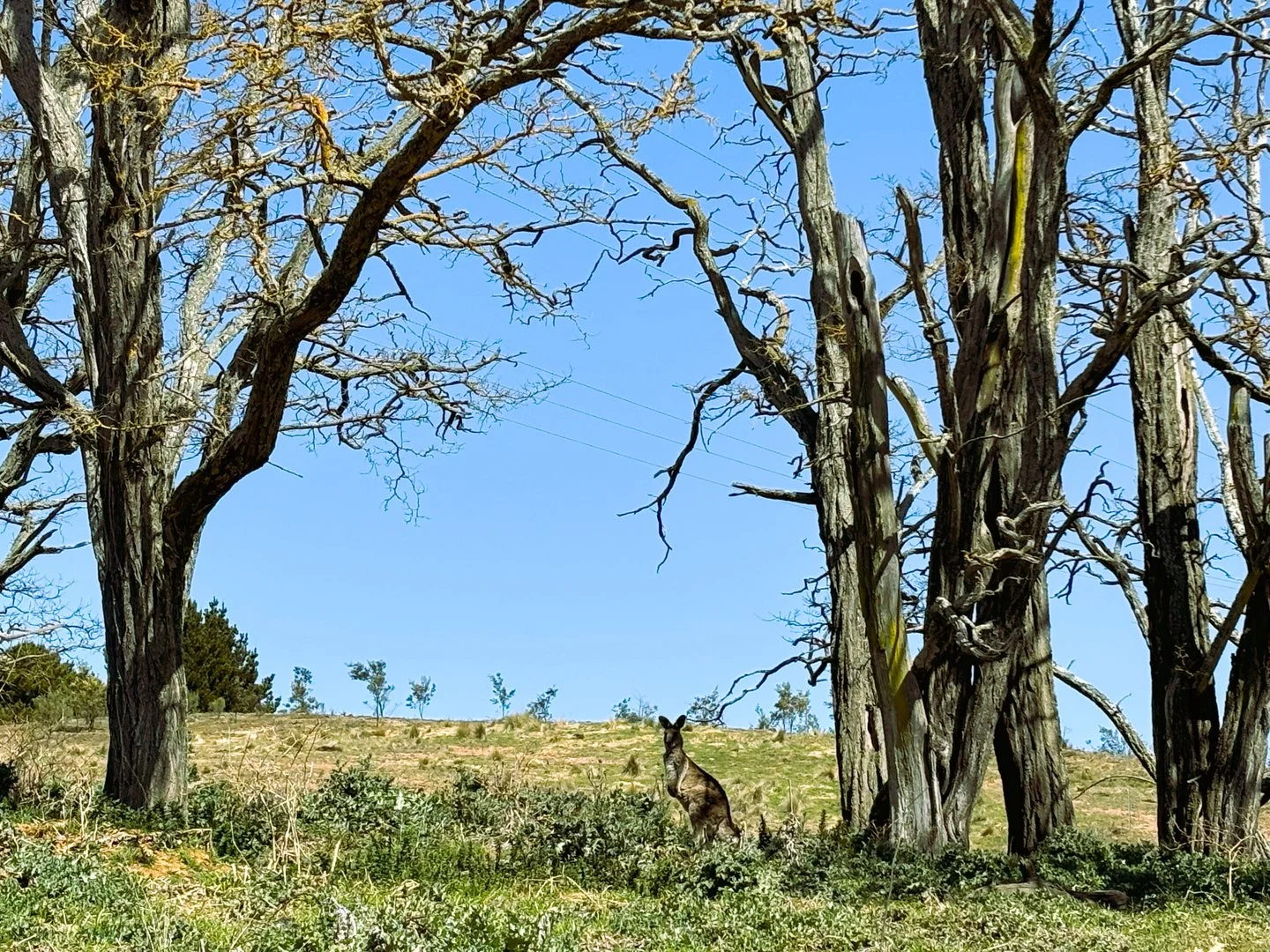 Additional image 2 of 25 Top Flat Lane, Wamboin NSW 2620