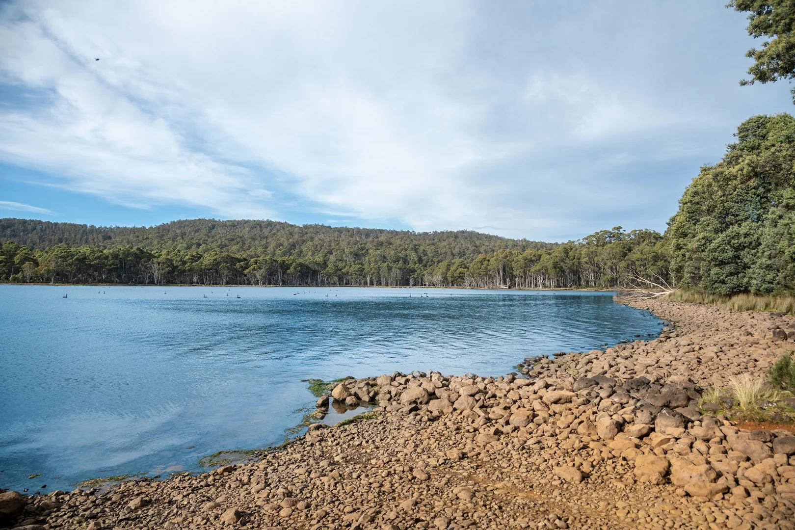 Additional image 22 of 1 & 2/172 Woodwards Bay Road, Bradys Lake TAS 7140