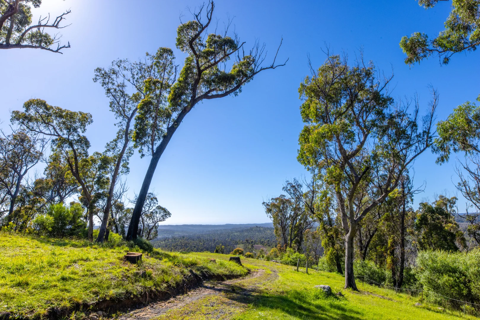 Additional image 4 of Lot 4 Braidwood Road, Sassafras NSW 2622