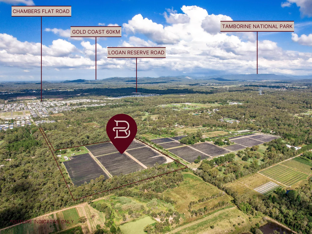 Additional image 5 of 83 Lindenthal Road, Park Ridge QLD 4125