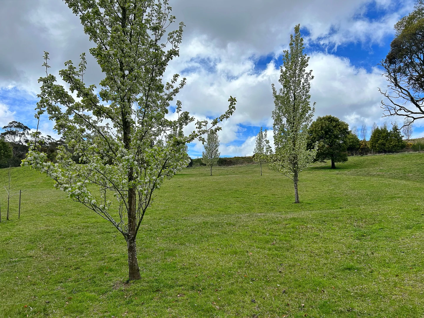 Additional image 2 of 1240 Daylesford-Trentham Road, Lyonville VIC 3461