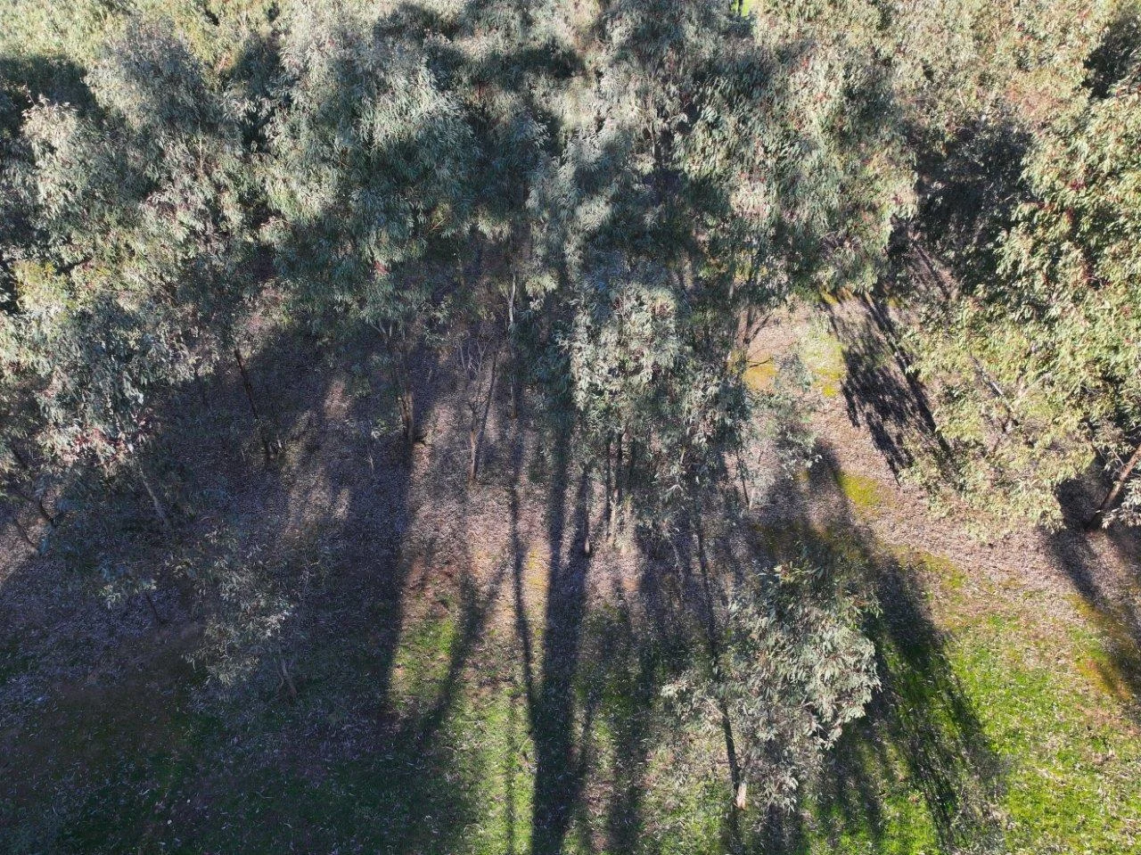 Additional image 6 of Langley Lane, McIntyre VIC 3472