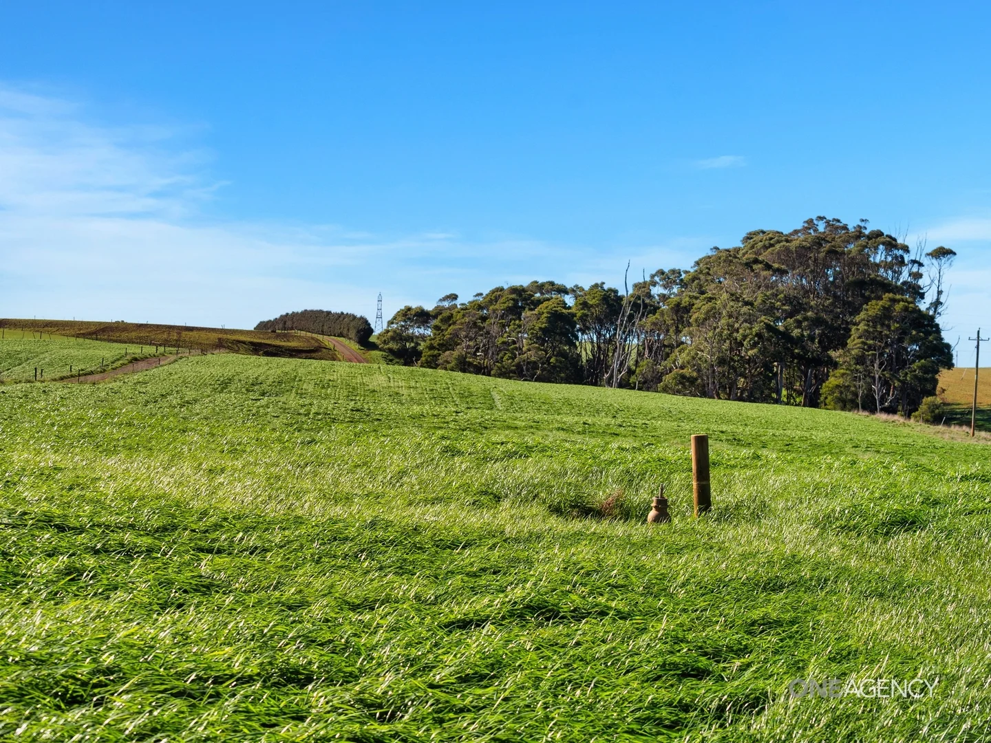Additional image 10 of 418 Back Line Road, Forest TAS 7330