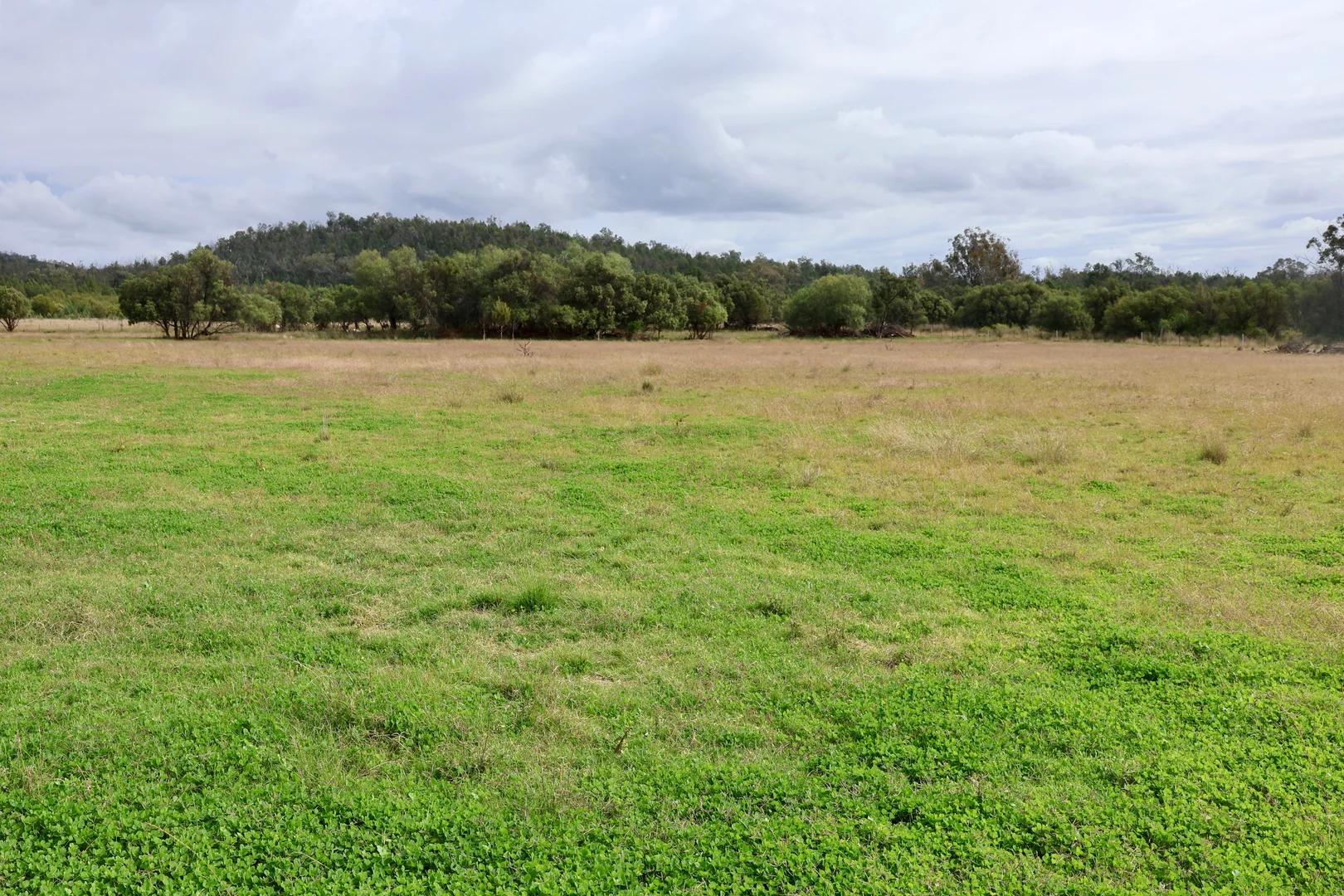 Additional image 20 of The Wilgas Cobbadah Road, Bingara NSW 2404