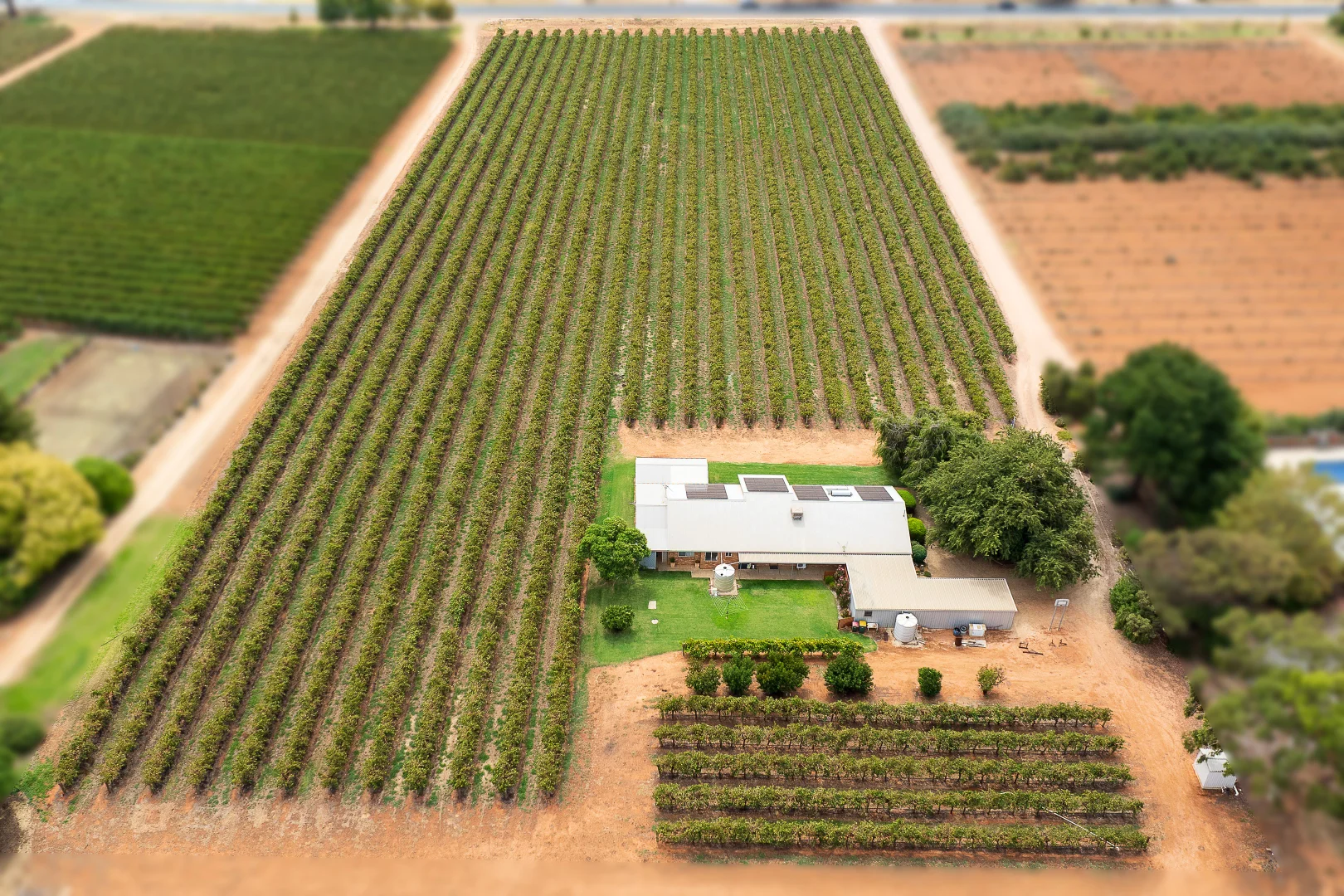 Additional image 3 of 17324 Sturt Highway, Barmera SA 5345