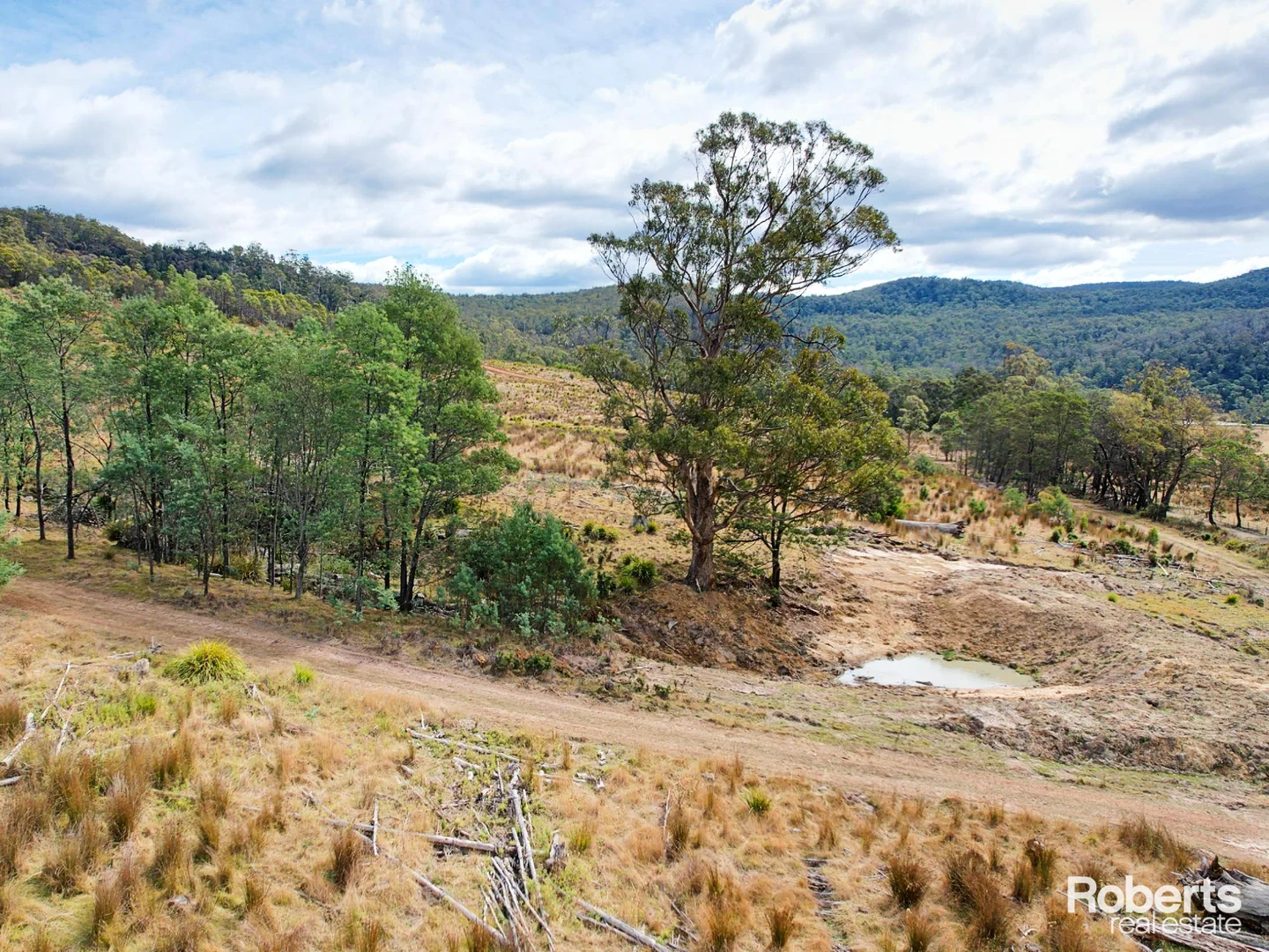 Additional image 3 of Lot 12, 13/524 Rosedale Road, Bicheno TAS 7215