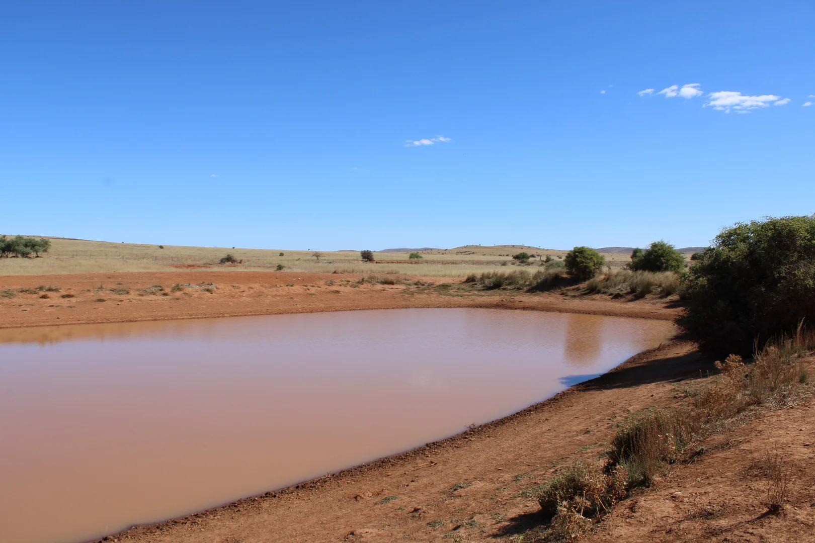 Additional image 5 of 1860 Cleary Road, Terowie SA 5421