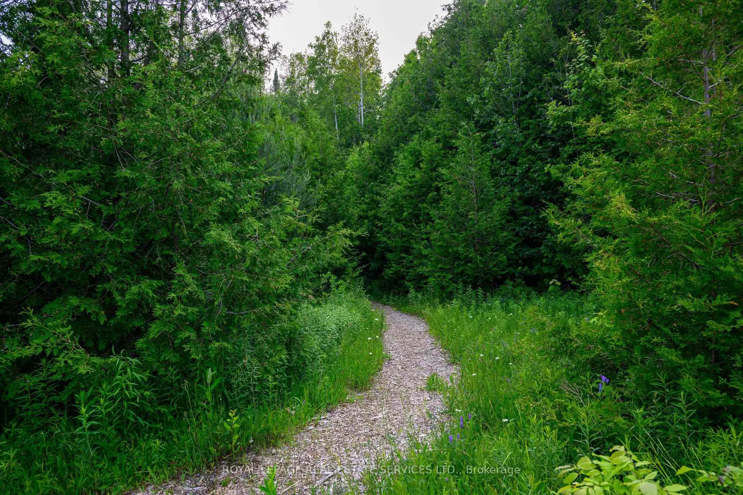 Additional image 19 of 5542 Winston Churchill Boulevard