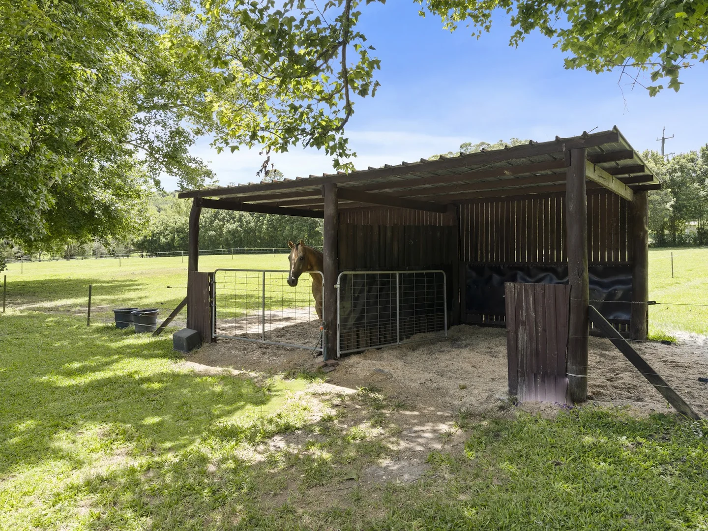 Additional image 42 of 14 Adcocks Road, Stokers Siding NSW 2484