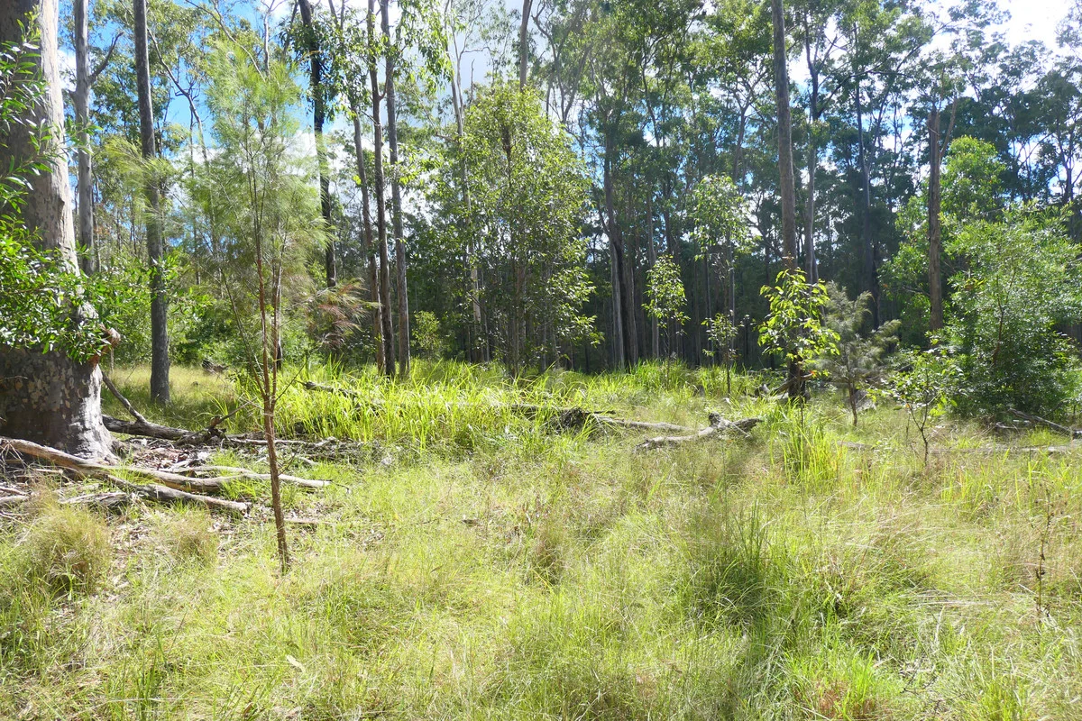 Additional image 12 of Lot 5 Long Gully Road, Drake NSW 2469