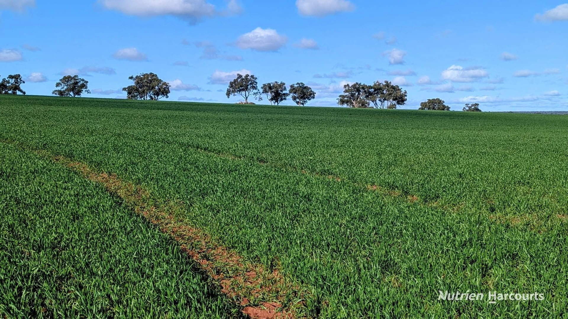 Additional image 4 of 5428 Brand Highway, Boonanarring, Gingin WA 6503