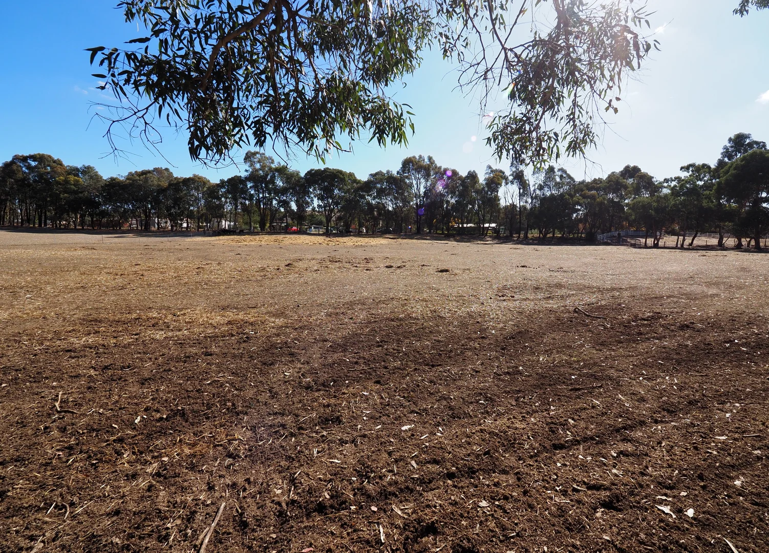 Additional image 9 of Ennis Street, Amphitheatre VIC 3468