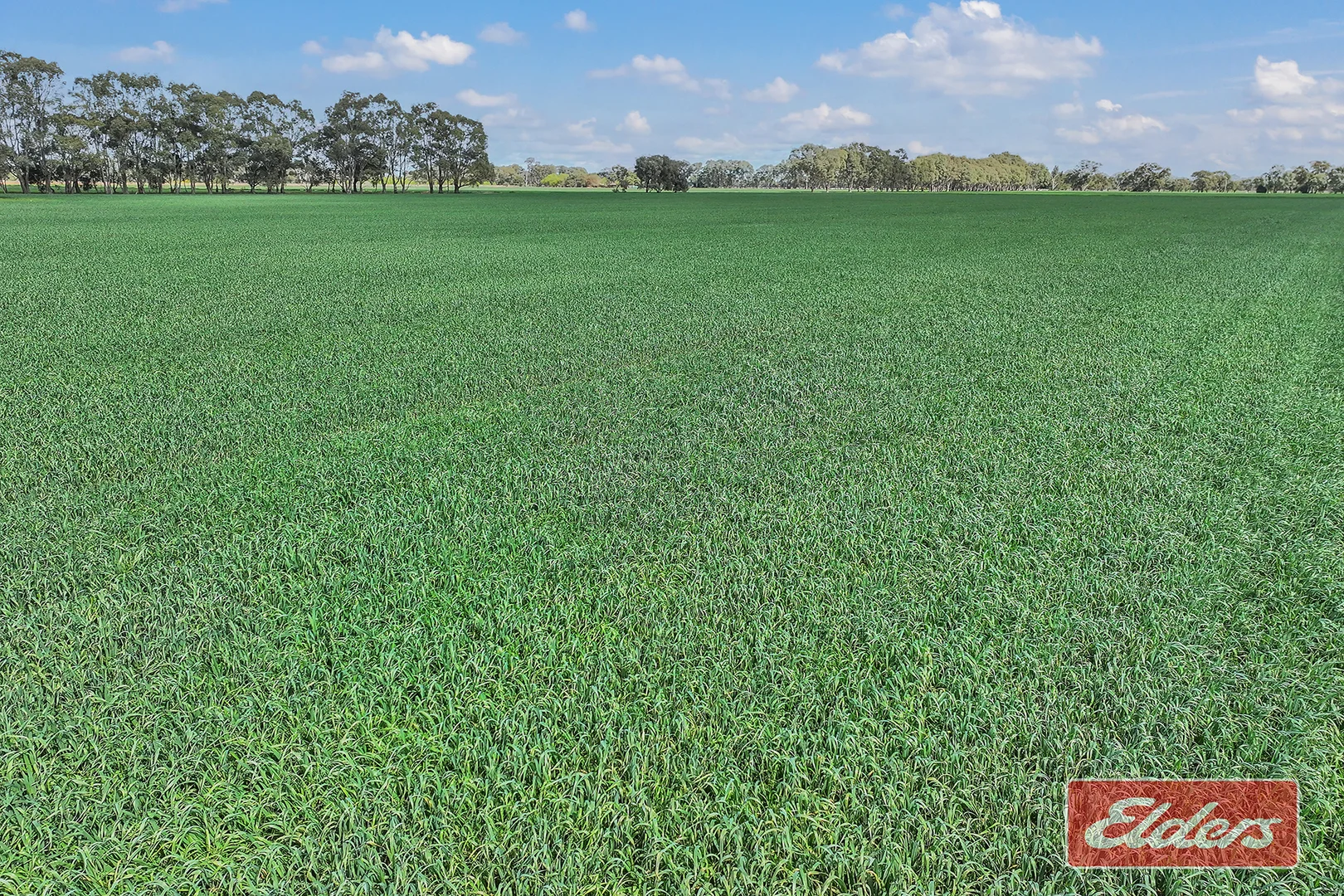 Additional image 35 of 1350 Ryan Road, Kyabram VIC 3620
