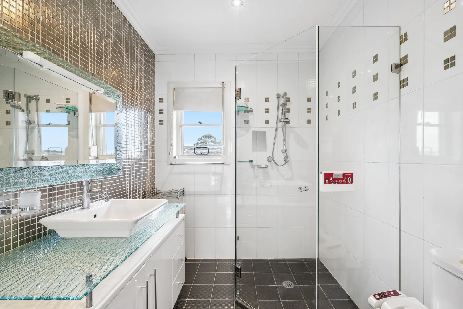 Additional image 10 of 49 Cornelia Street, Wiley Park NSW 2195