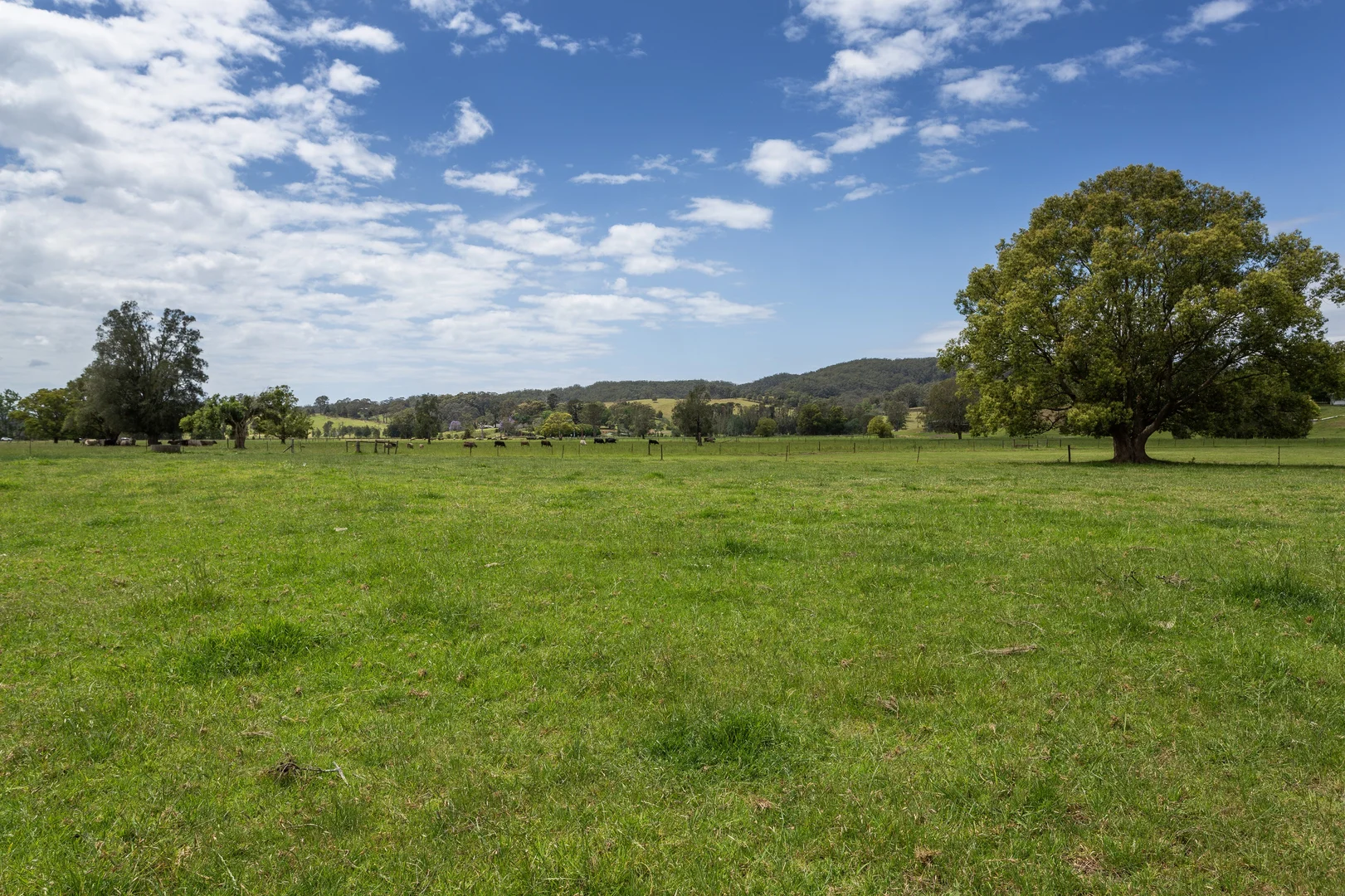 Additional image 11 of 639E coolangatta road, Berry NSW 2535