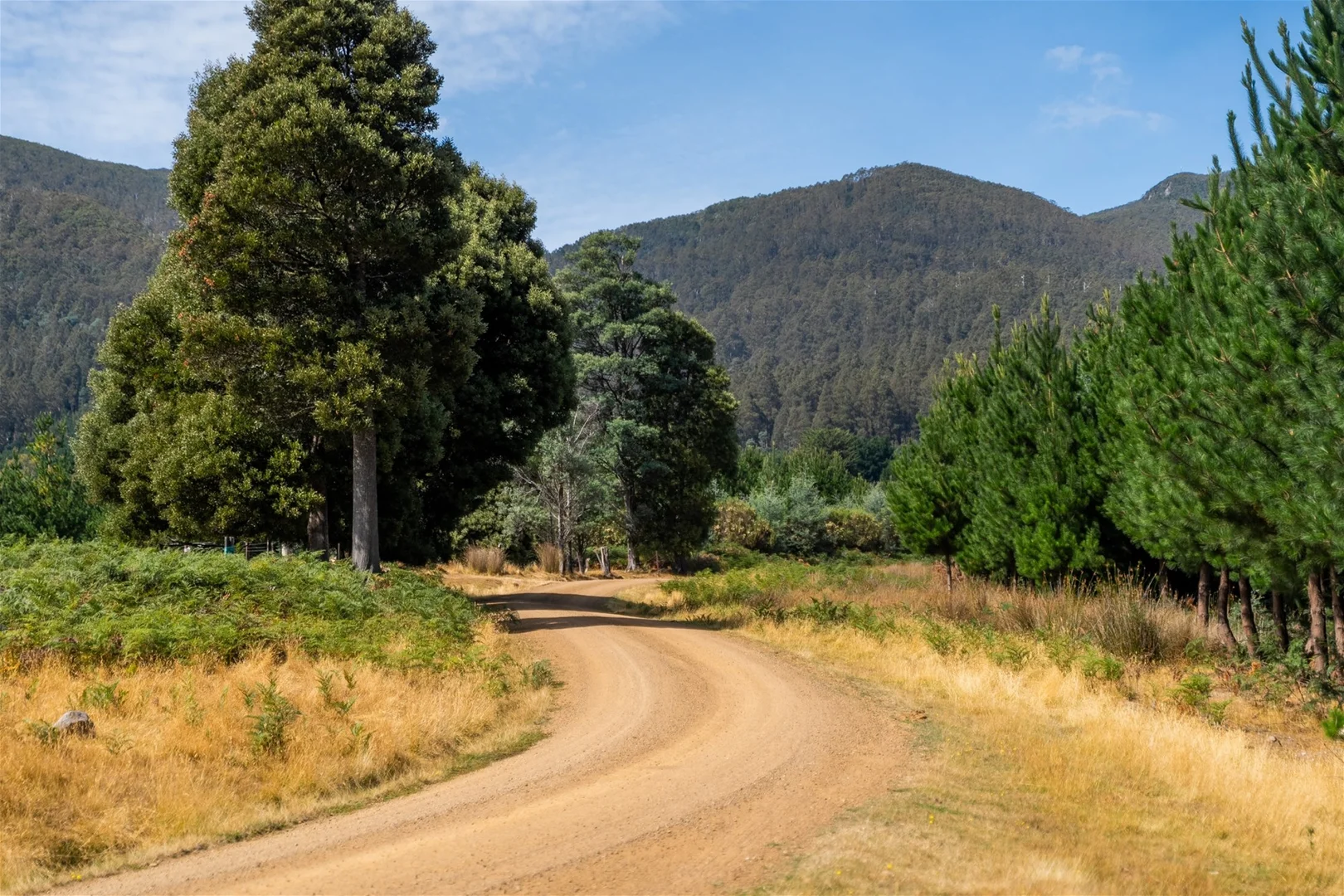 Additional image 8 of 77 Fitzgerald Station Rd, Fitzgerald TAS 7140