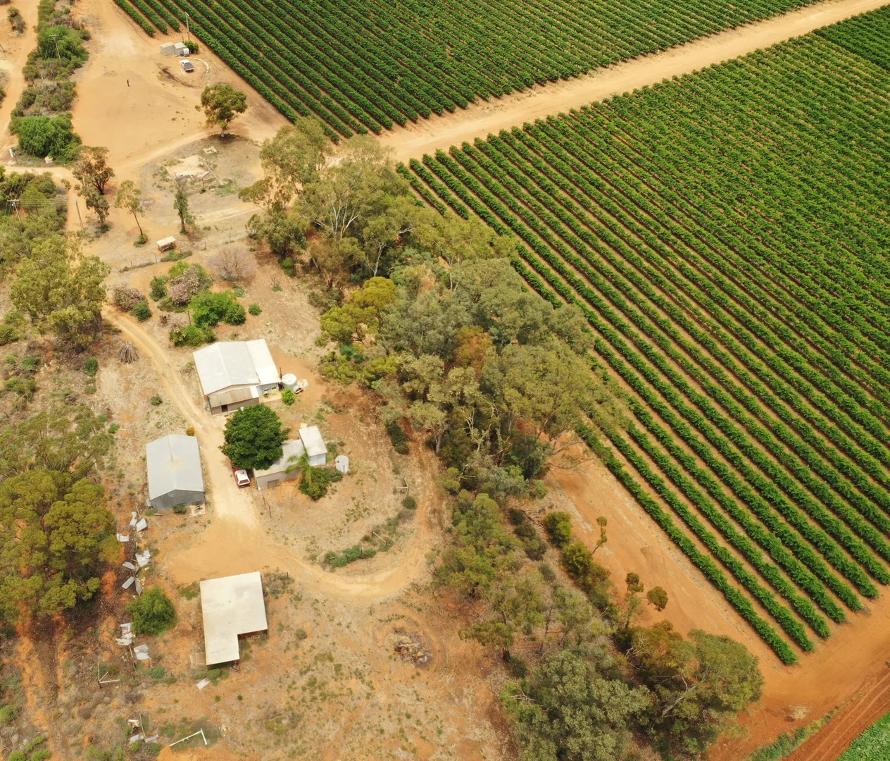 Additional image 3 of 151 ELEPHANT TRUNK ROAD, Cobdogla SA 5346