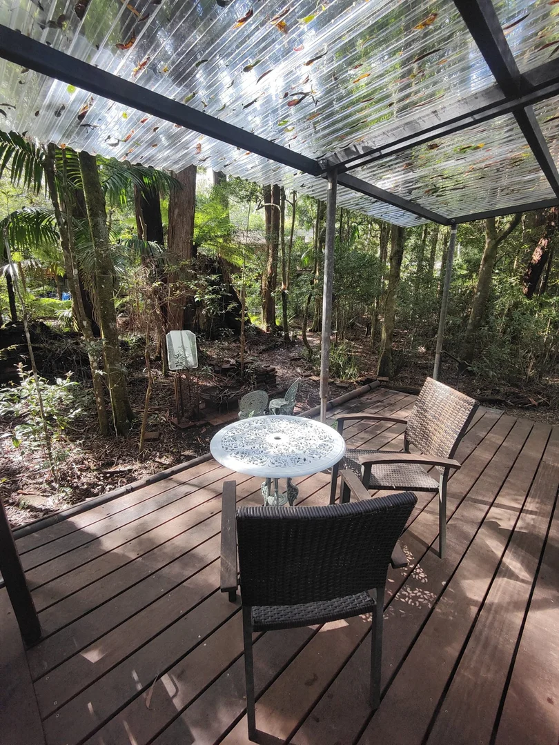 Additional image 3 of Springbrook QLD 4213