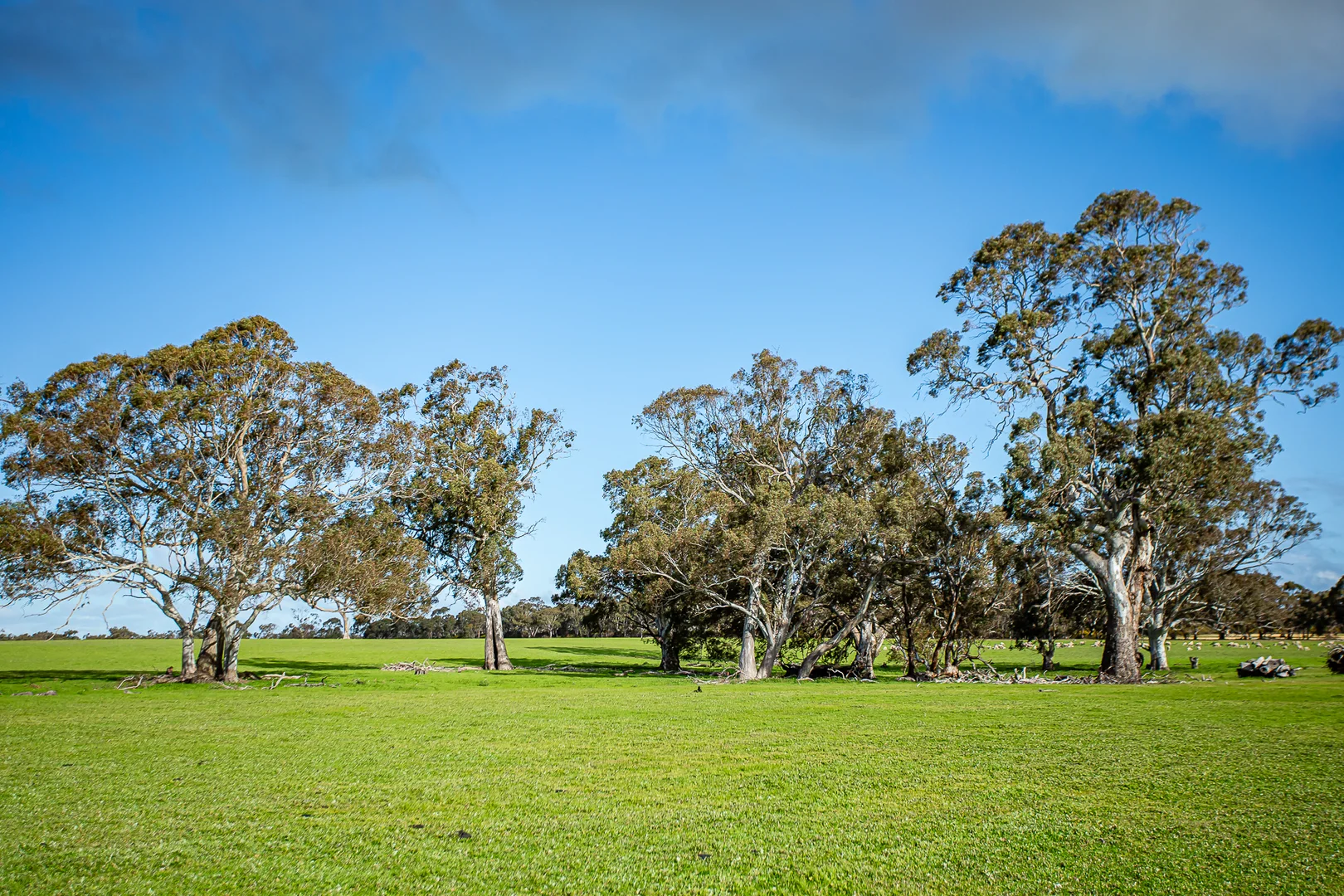 Additional image 23 of 184 Lin Dixons Road, Ullswater VIC 3318