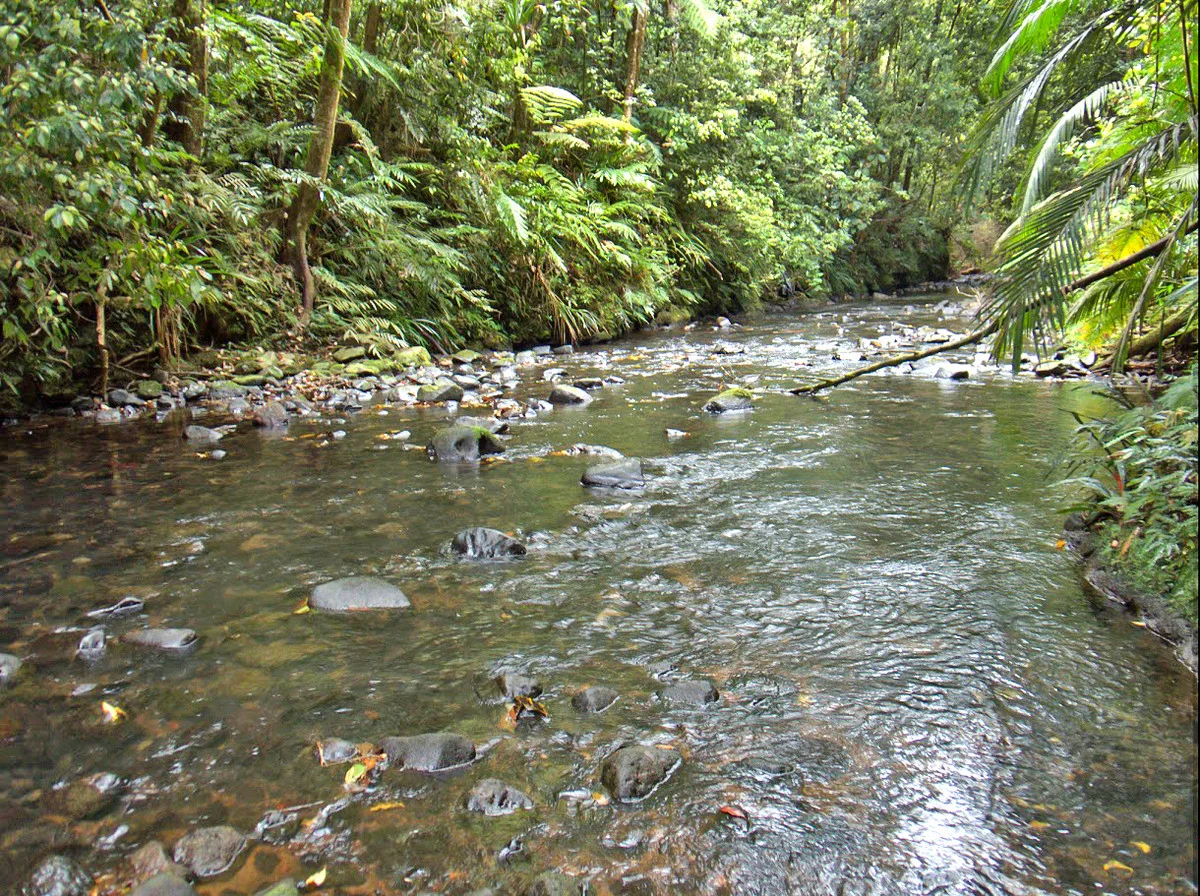 Additional image 10 of 69 Wairambar Creek Road, Topaz QLD 4885