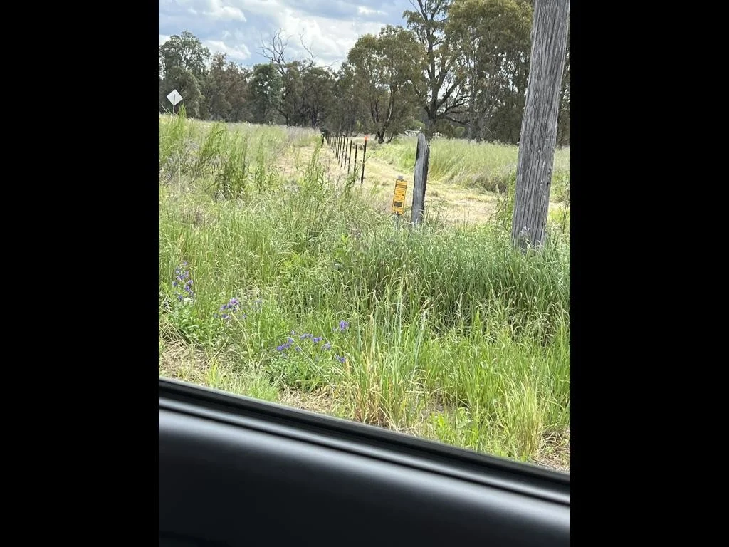 Additional image 17 of 9/7 Pezzutos Road, Colly Blue NSW 2343