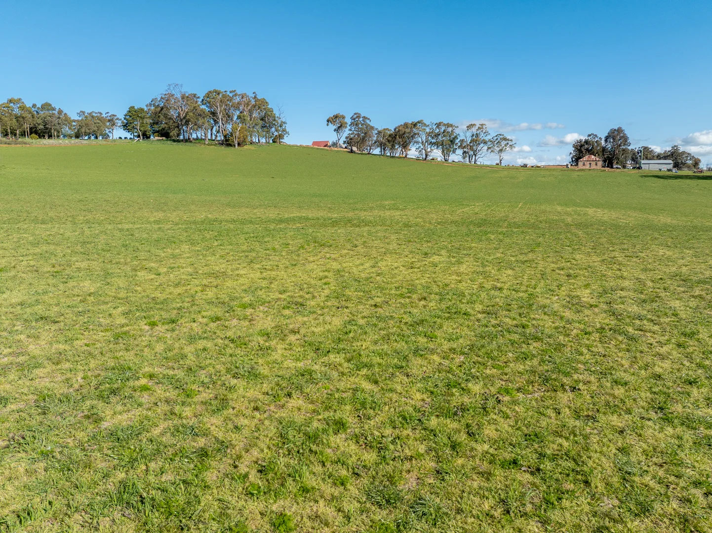 Additional image 13 of 640 Tallwood Road, Forest Reefs NSW 2798