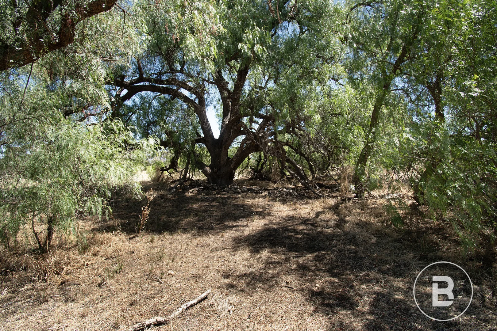 Additional image 6 of 581 Timor Road, Bowenvale VIC 3465