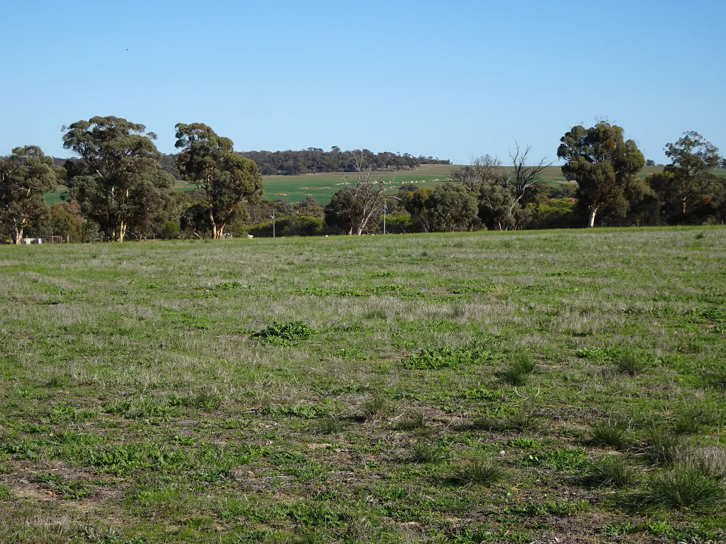 Additional image 31 of Shaddick Road, East Pingelly WA 6308