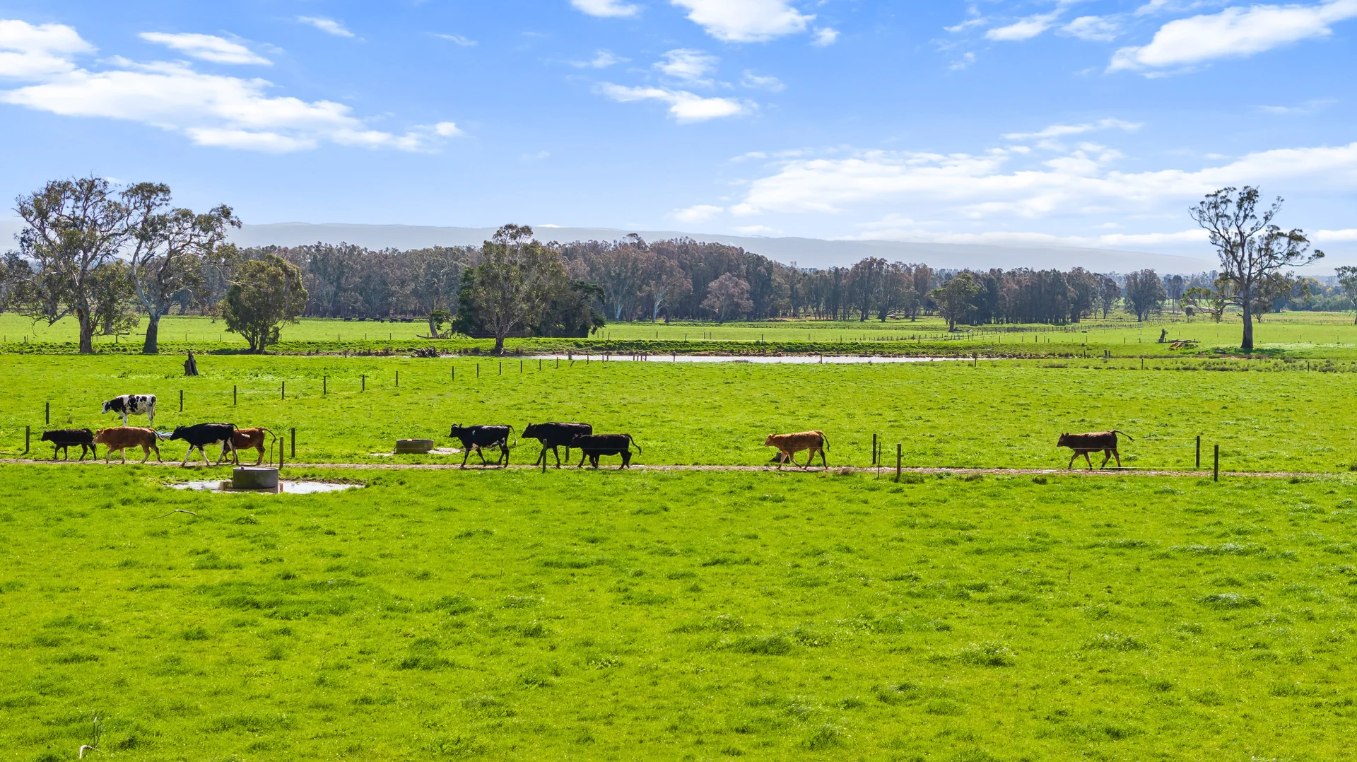 Additional image 28 of 1175 Princes Highway, Flynn VIC 3844