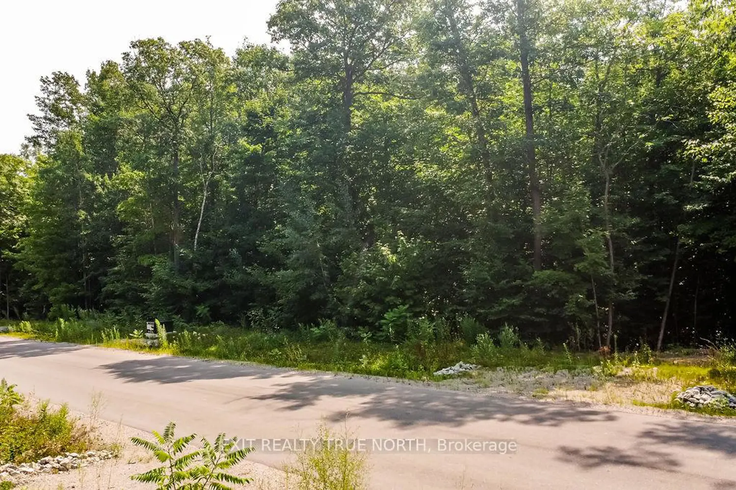 Additional image 3 of Lt 45 Explorers Landing