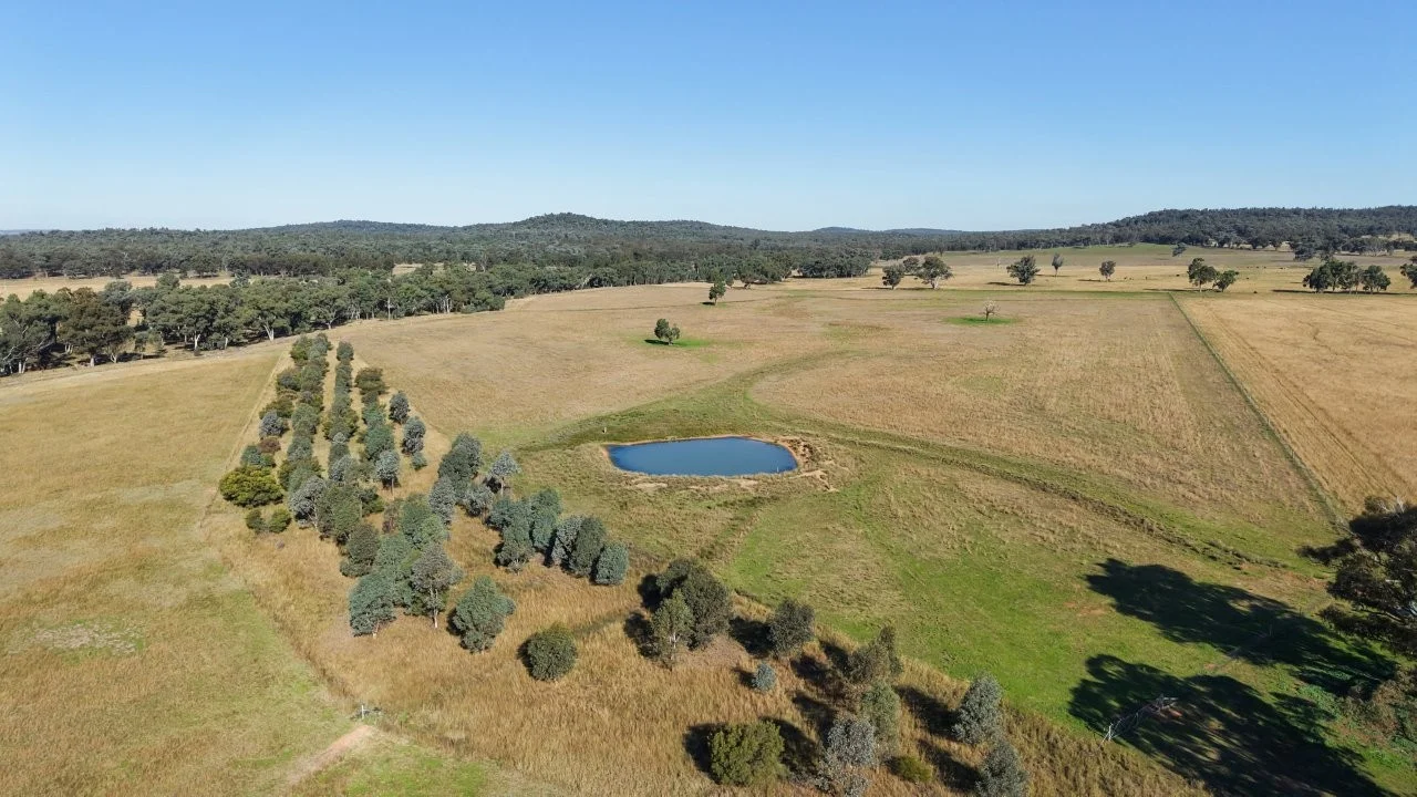 Additional image 16 of 3761 Neilrex Road, Neilrex NSW 2831