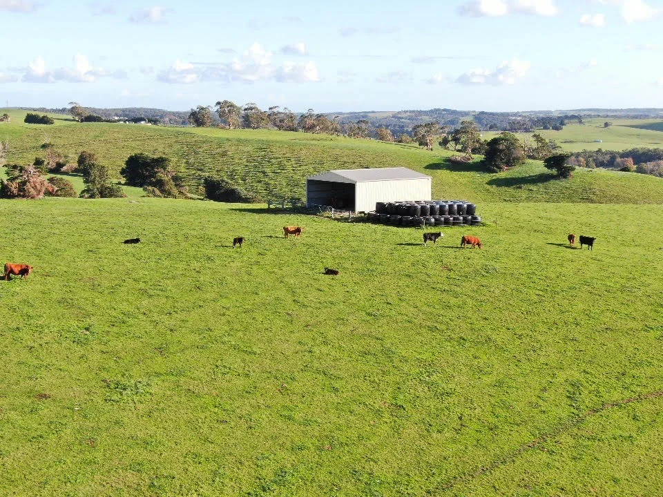 Additional image 2 of 180 Old Koonwarra-Meeniyan Road, Koonwarra VIC 3954