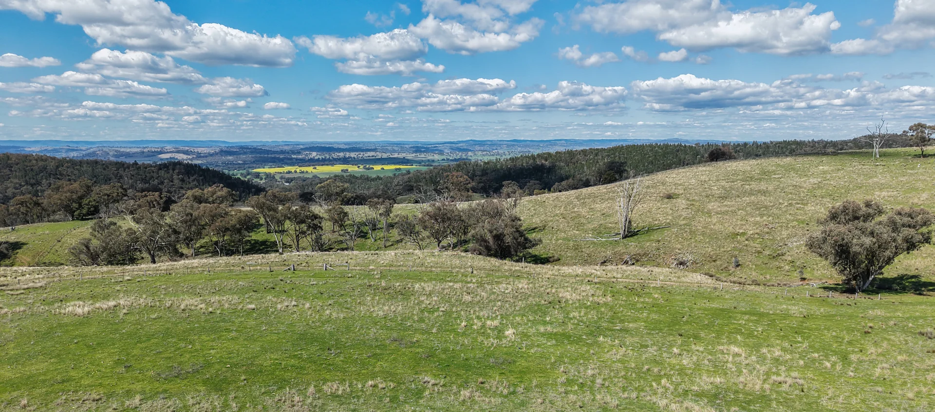 Additional image 8 of 350 Ingles Road NEUREA Via, Wellington NSW 2820