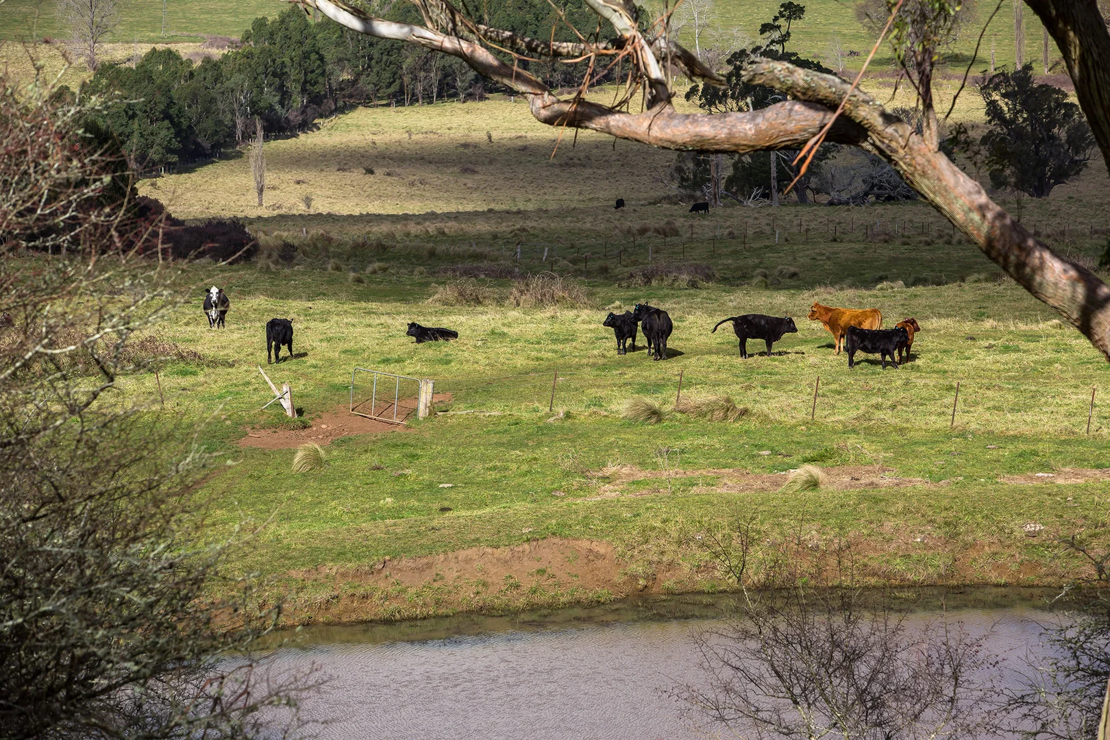 Additional image 17 of 1211 Old South Road, Bowral NSW 2576