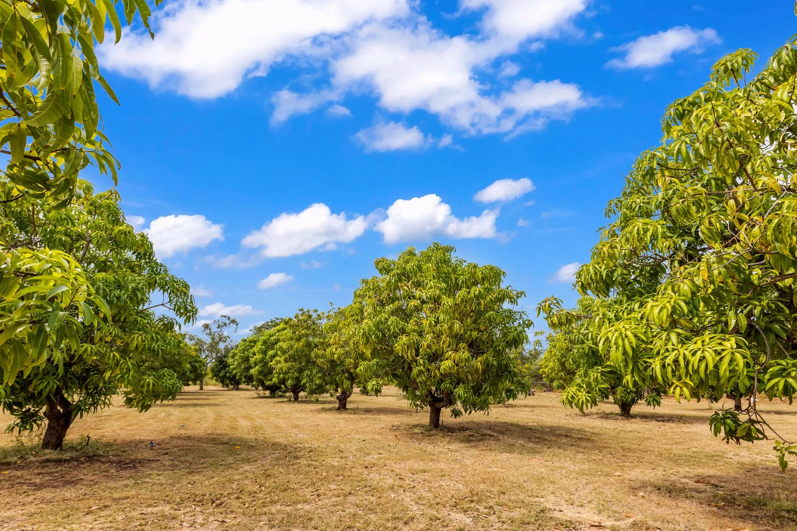 Additional image 19 of 9 Wright Street, Derby WA 6728