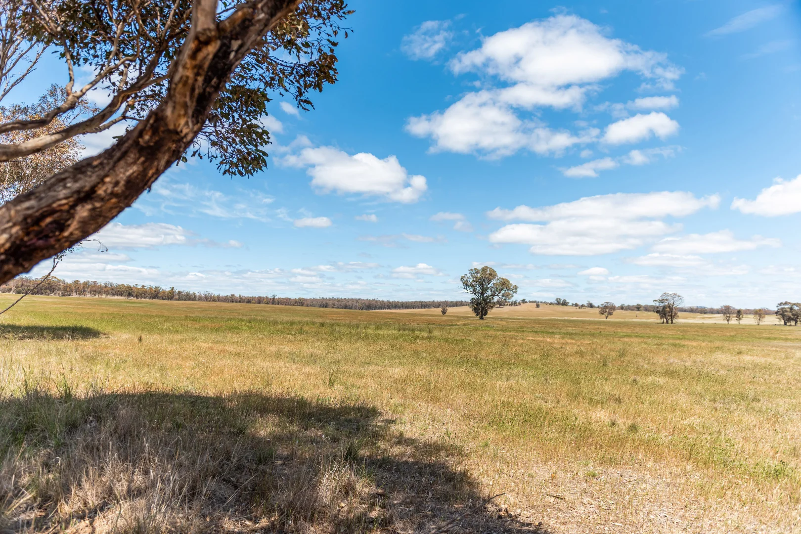 Additional image 8 of 850 Tait Hamilton Road, Gobarup VIC 3559