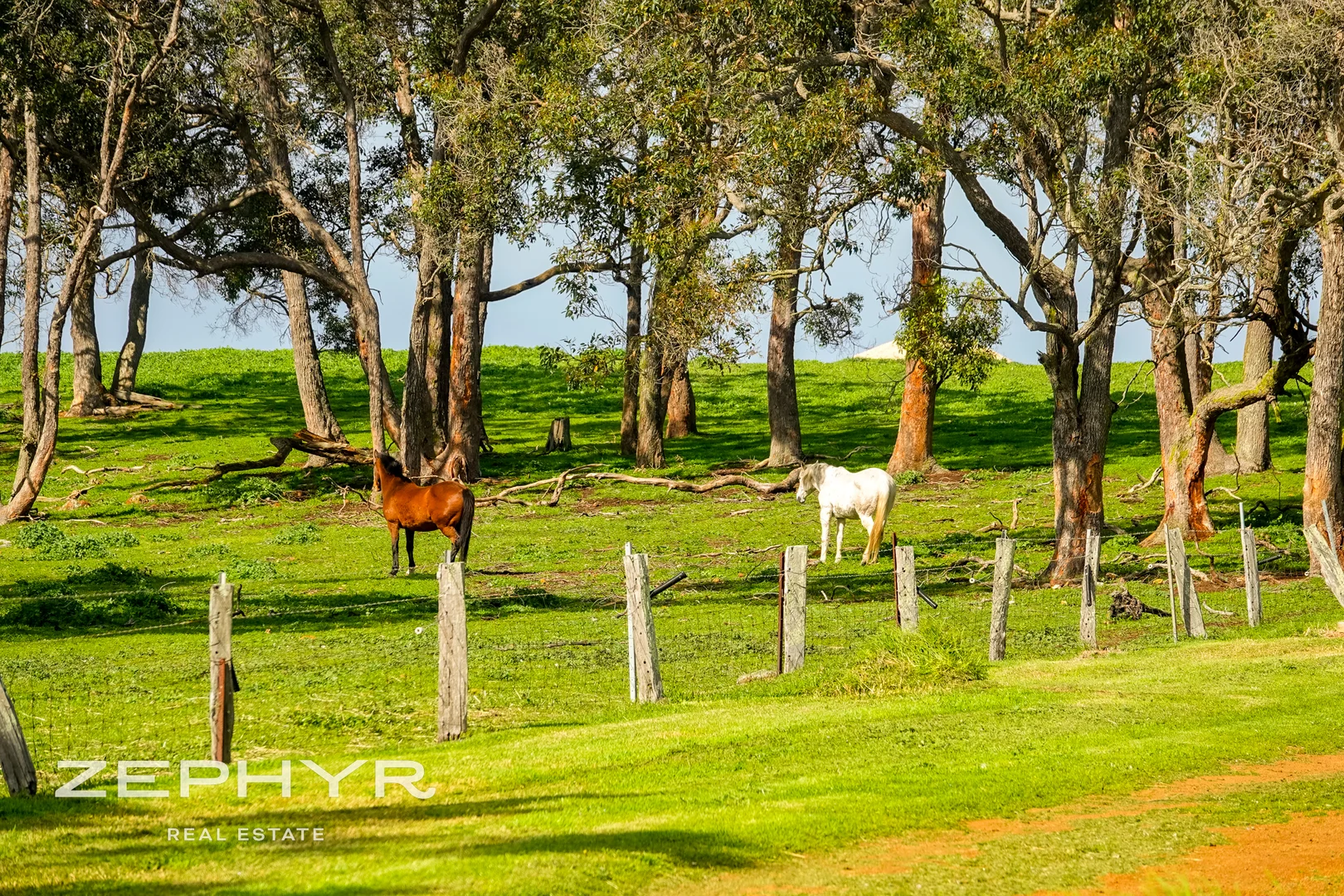 Additional image 23 of 171 Fuller Road, Napier WA 6330