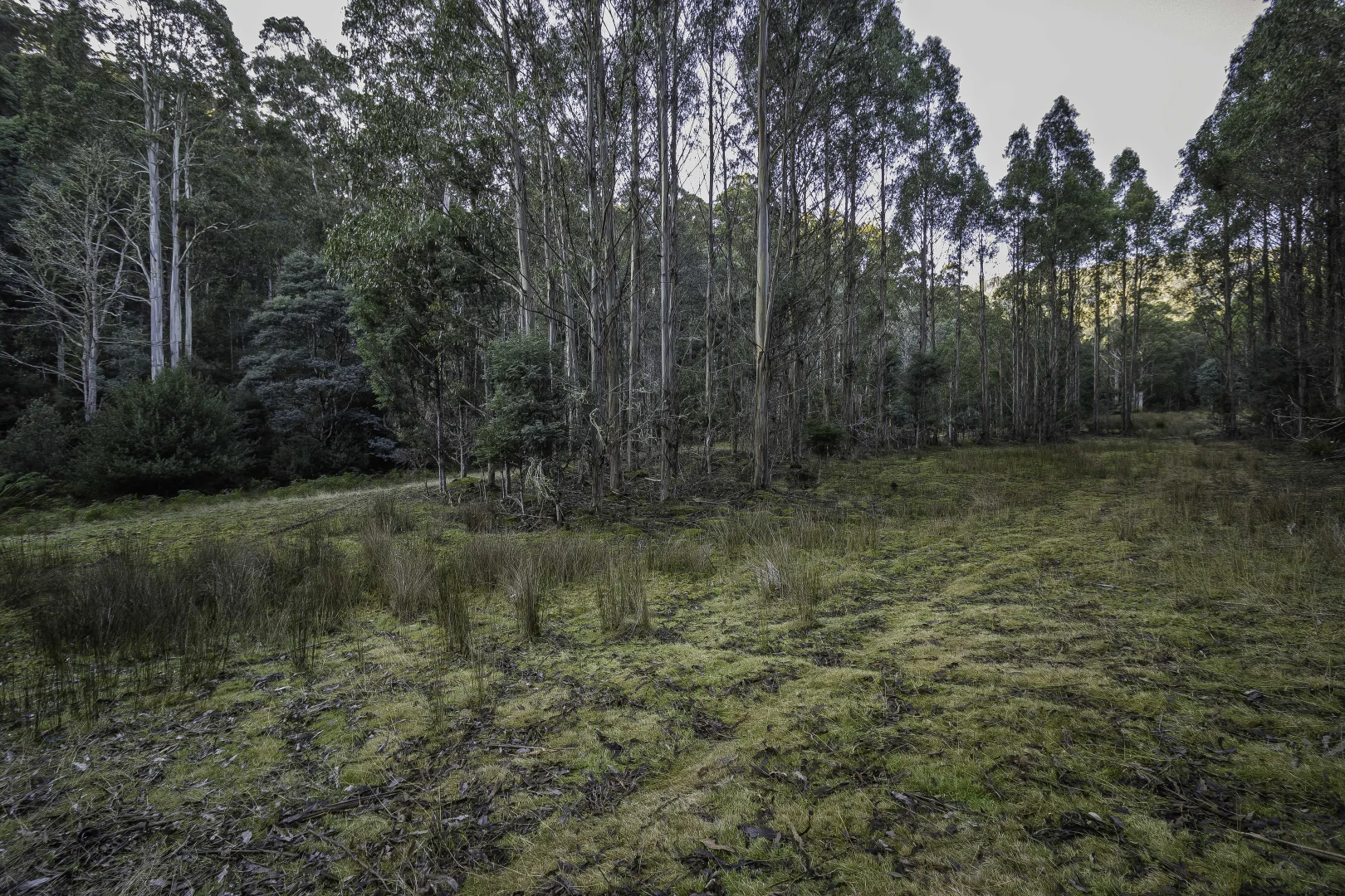 Additional image 30 of Judbury TAS 7109