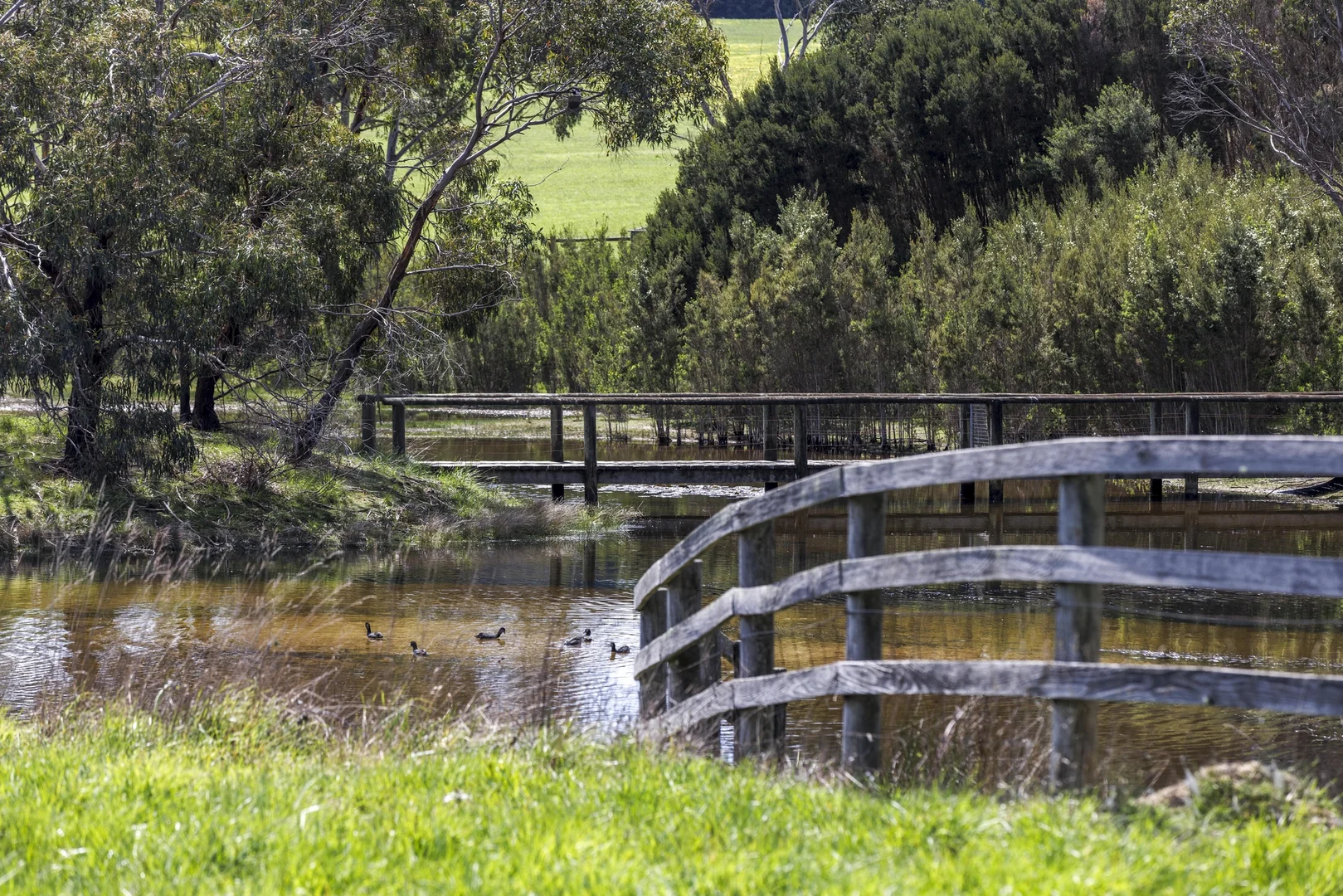 Additional image 10 of 50 Foxeys Road, Tuerong VIC 3915