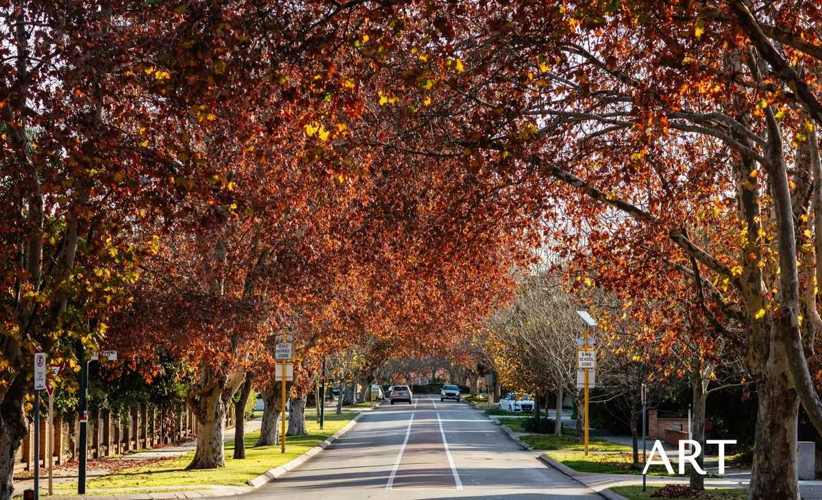Additional image 5 of Apartment 1/65 Canning Beach Road, Applecross WA 6153