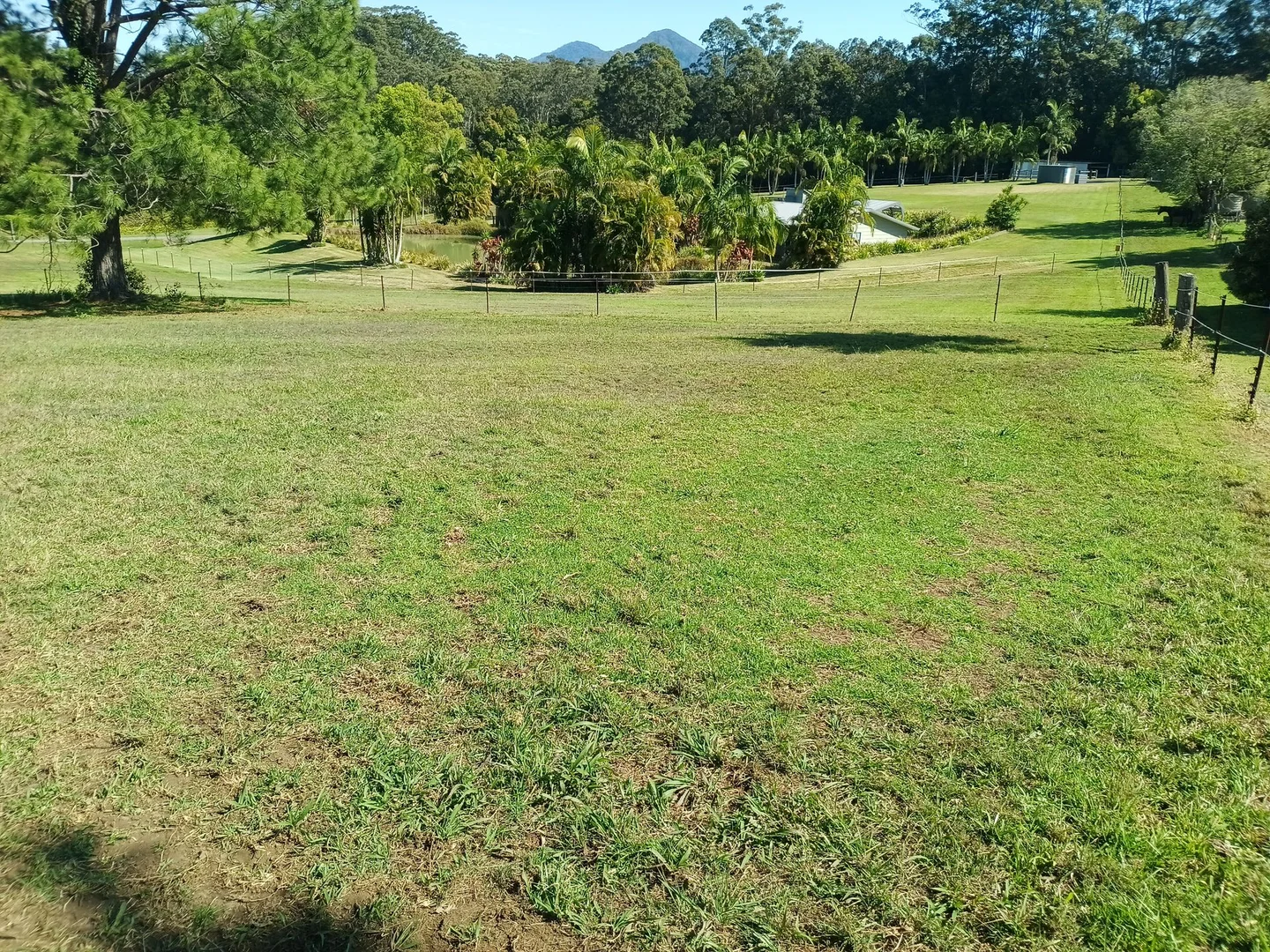 Additional image 12 of 14 Williams Road, Bonville NSW 2450
