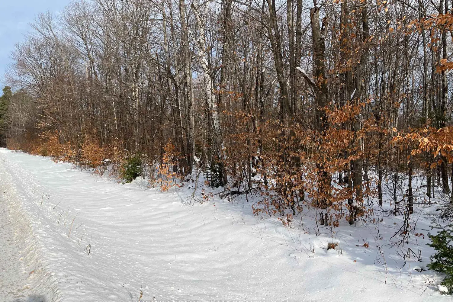 Additional image 2 of 00 Siberia Road