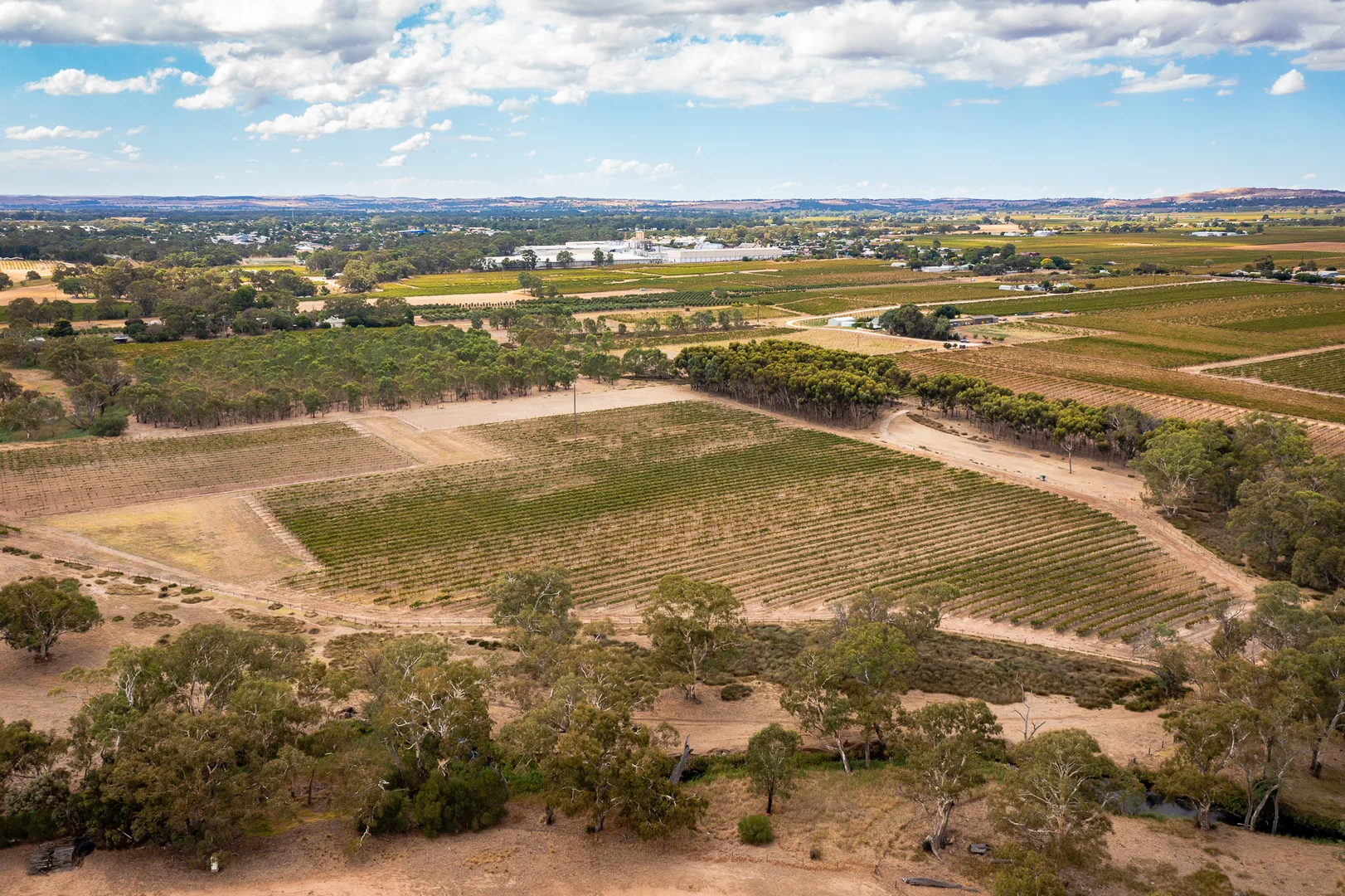 Additional image 2 of Lot 91 Nuraip Road, Nuriootpa SA 5355