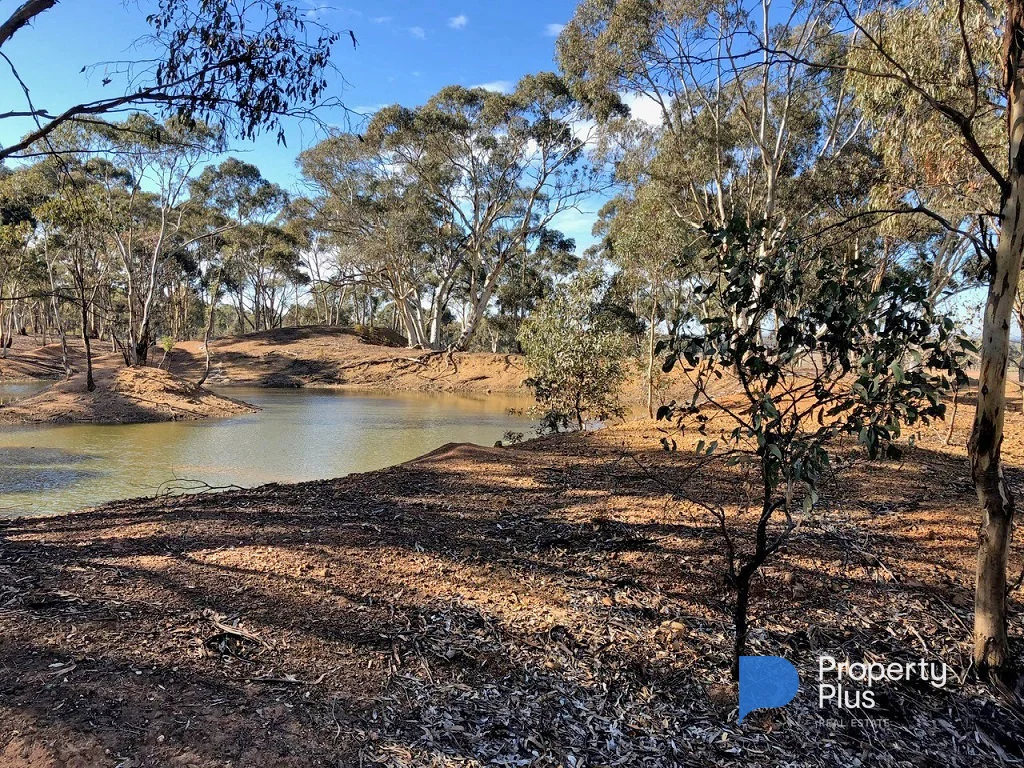 Additional image 19 of 1 Bendigo-Maryborough Road, Shelbourne VIC 3515