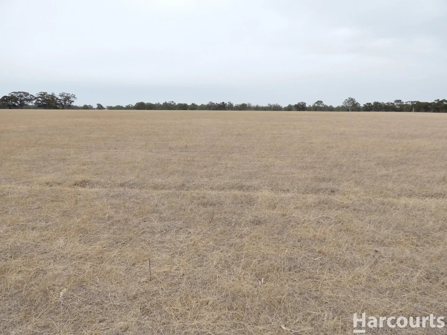 Additional image 27 of . Elliots Lane, Clear Lake VIC 3409
