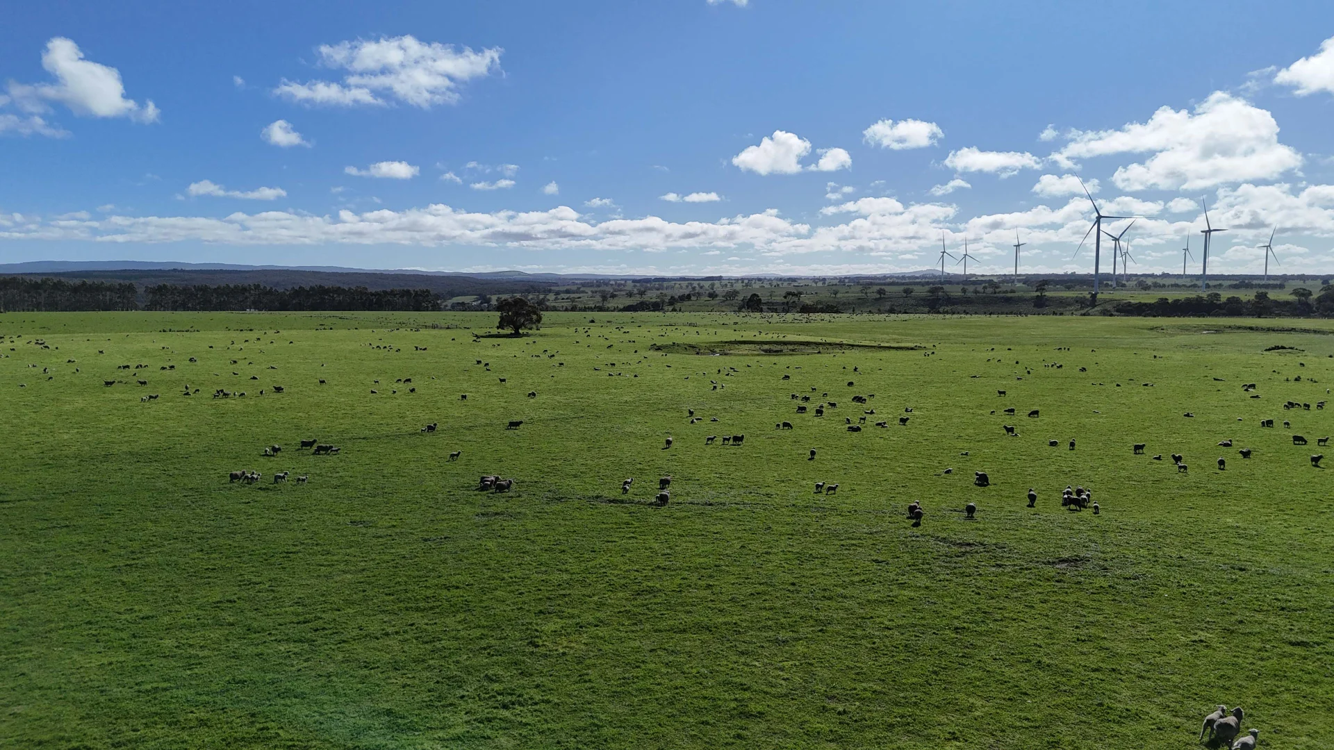 Additional image 8 of 1 McDonalds Lane, Ballan VIC 3342