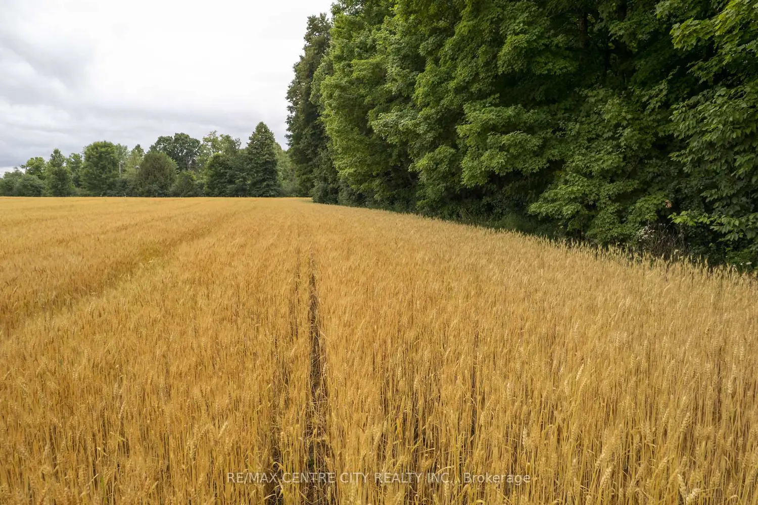 Additional image 16 of Pt Lt 6 Concession 8 Road