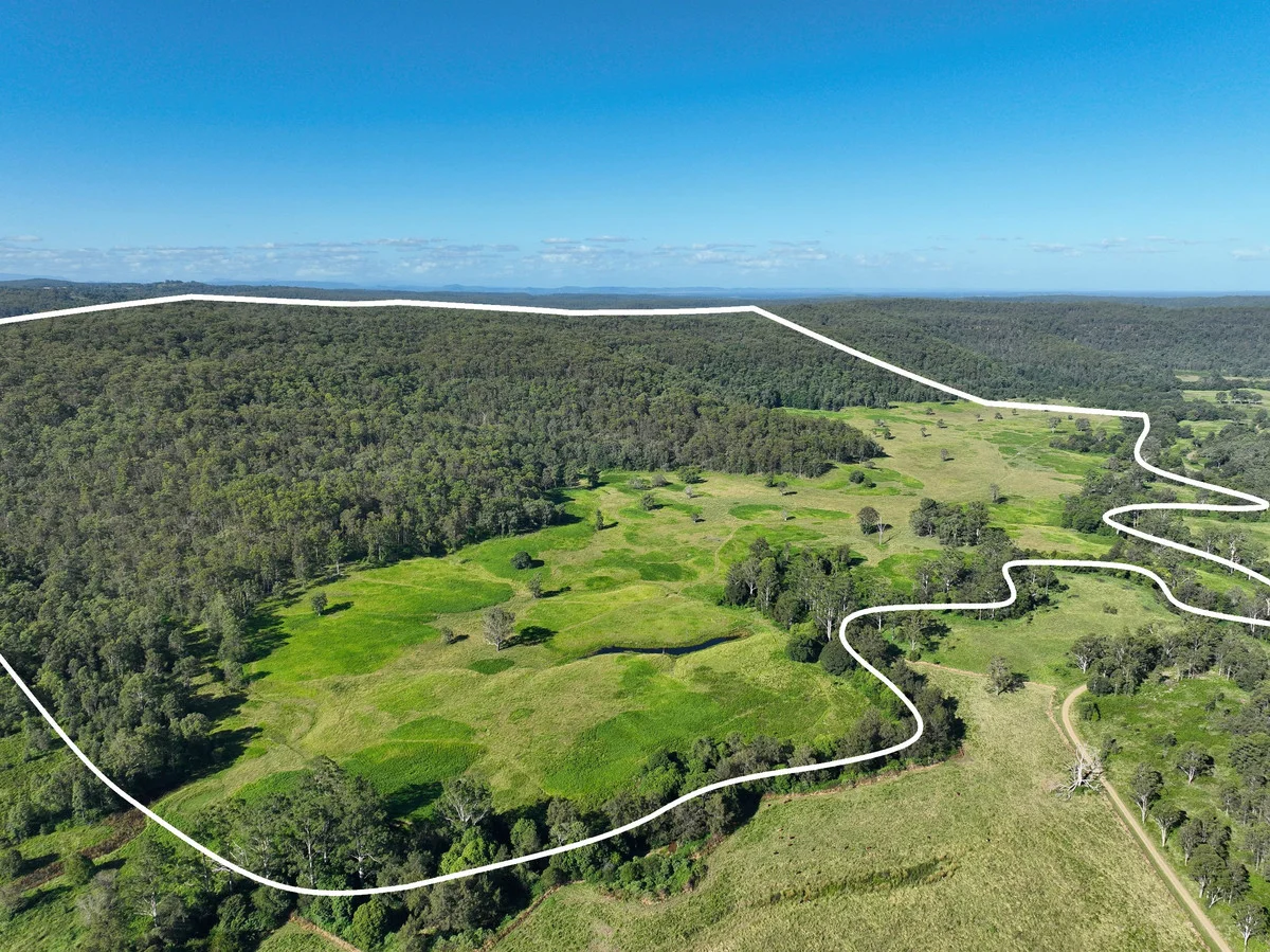 2374 Upper Mongogarie Road, Upper Mongogarie NSW 2470